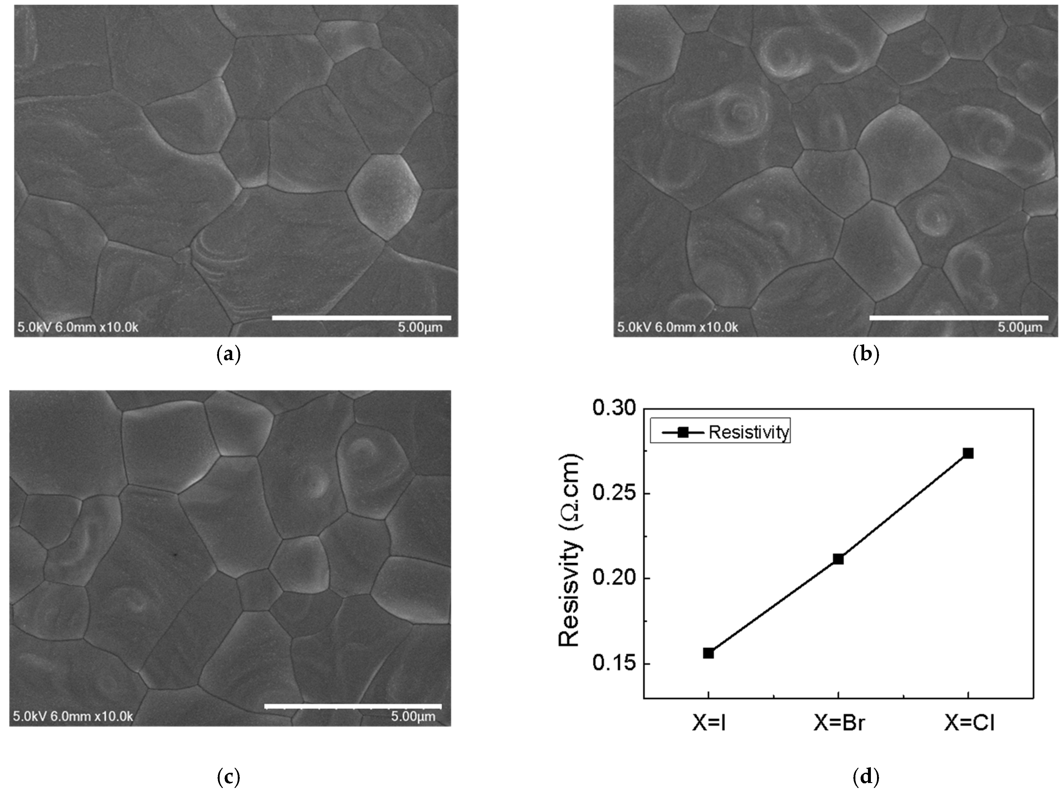 Coatings 13 00248 g003