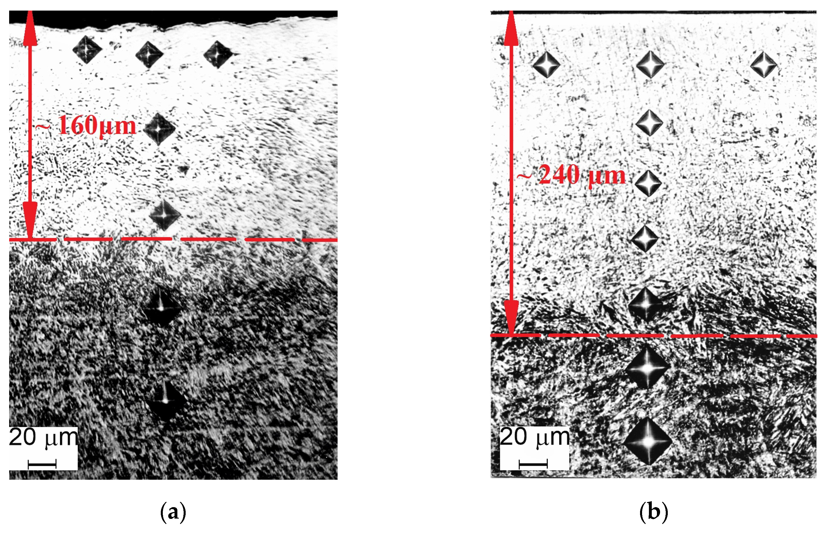 Coatings 13 00249 g004a