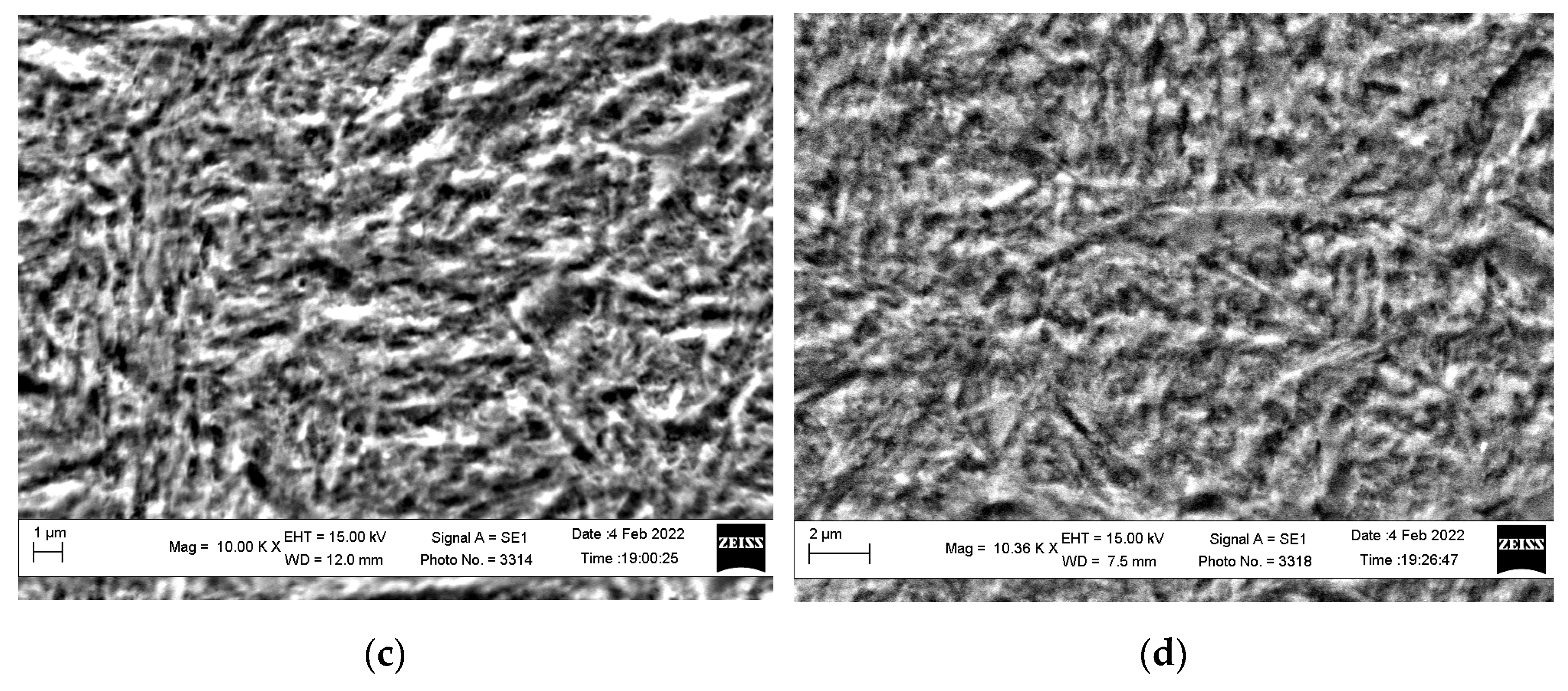 Coatings 13 00249 g004b