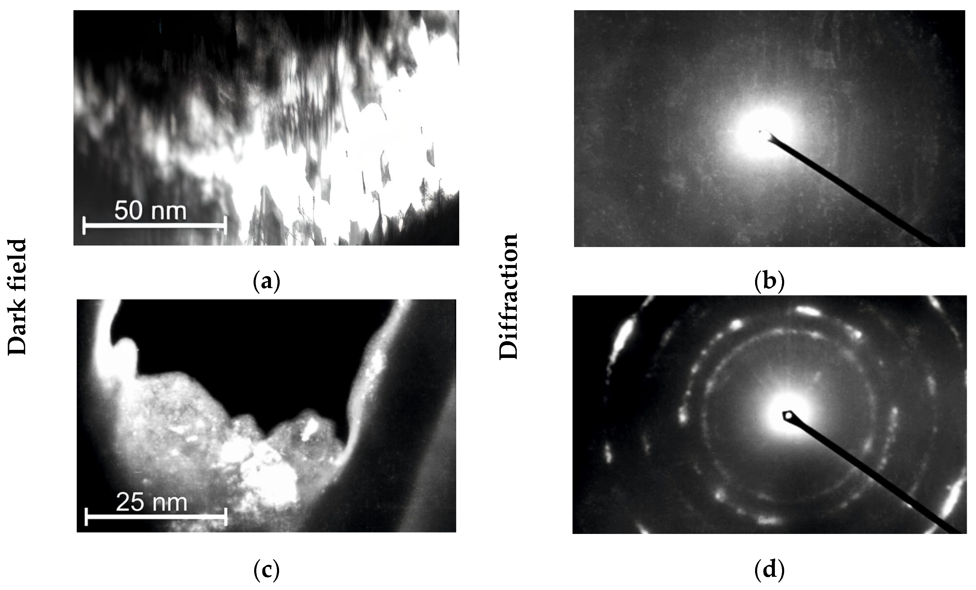 Coatings 13 00249 g007