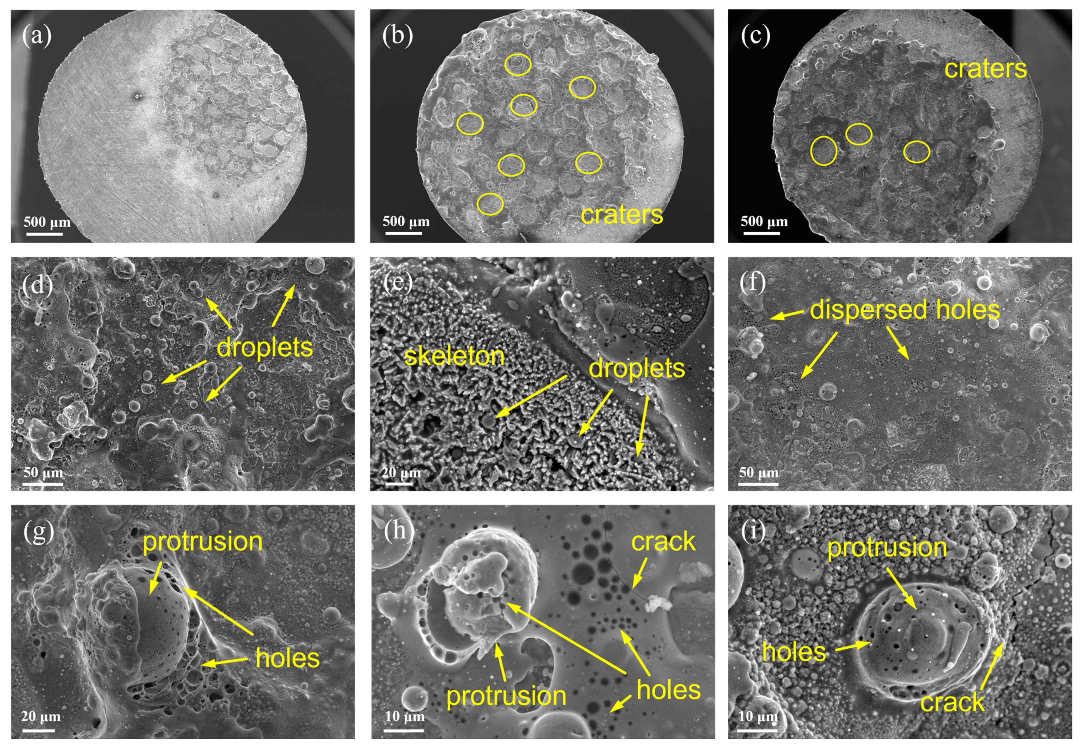 Coatings 13 00252 g003 Coatings 13 00252 g003