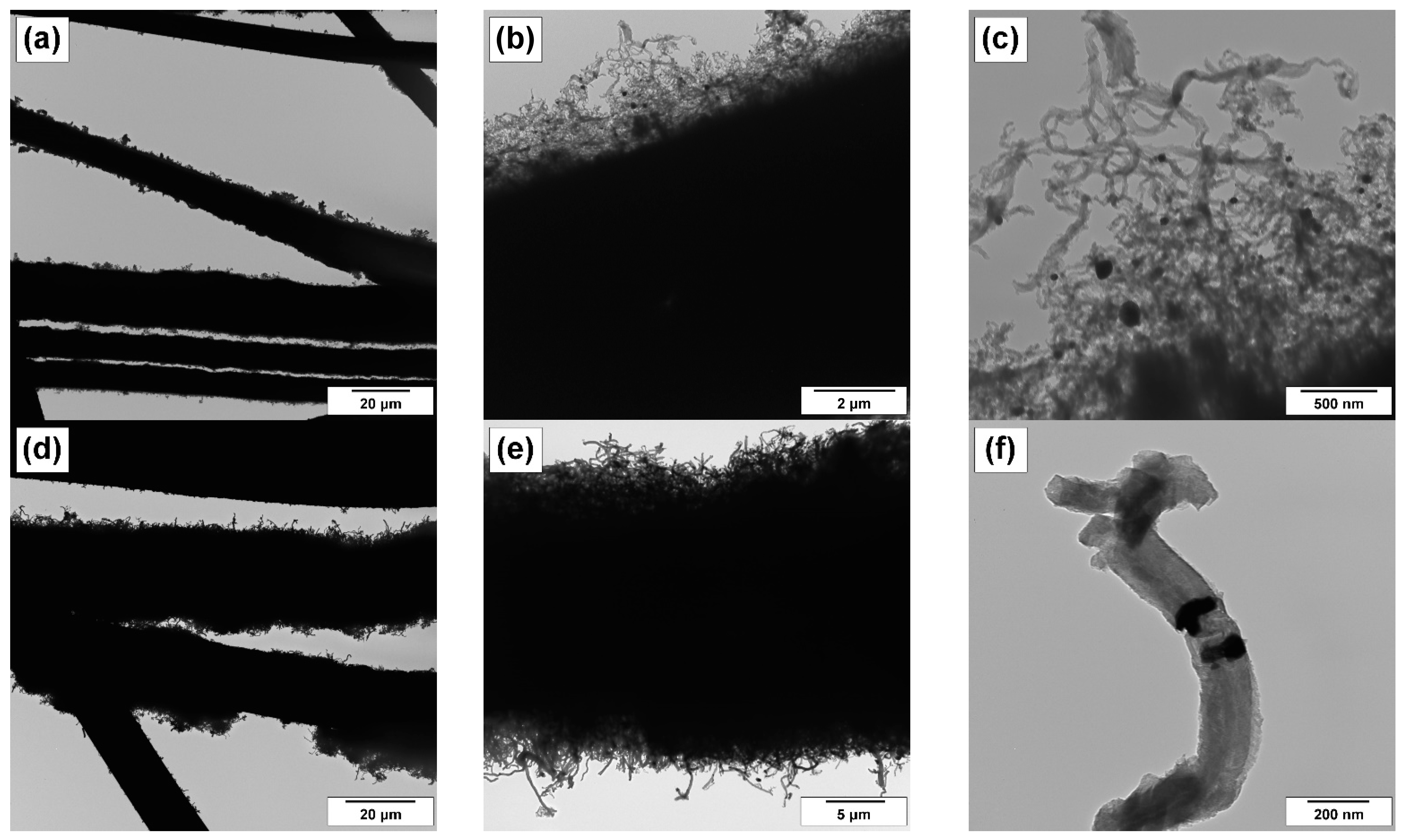 Coatings 13 00256 g004 Coatings 13 00256 g004
