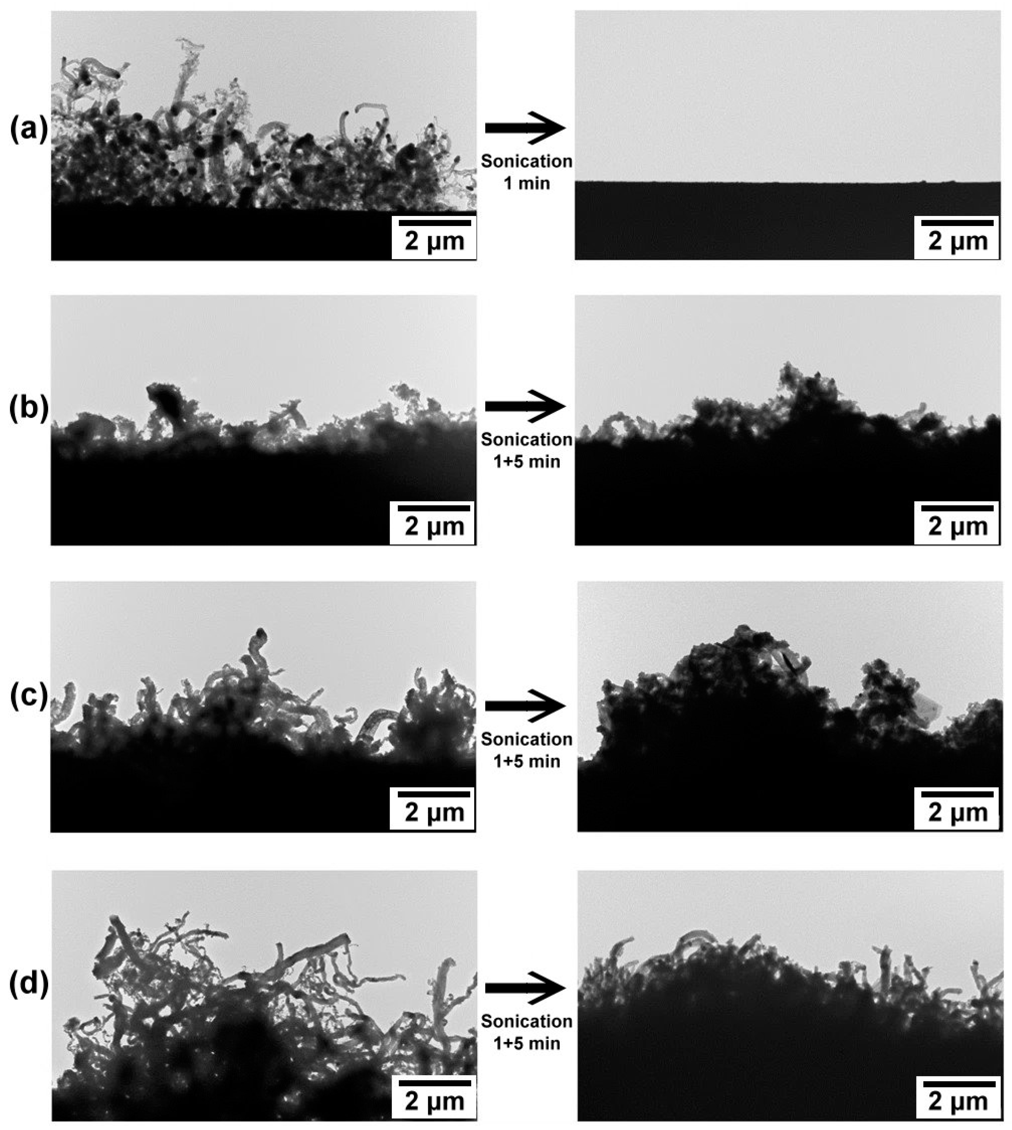 Coatings 13 00256 g006 Coatings 13 00256 g006