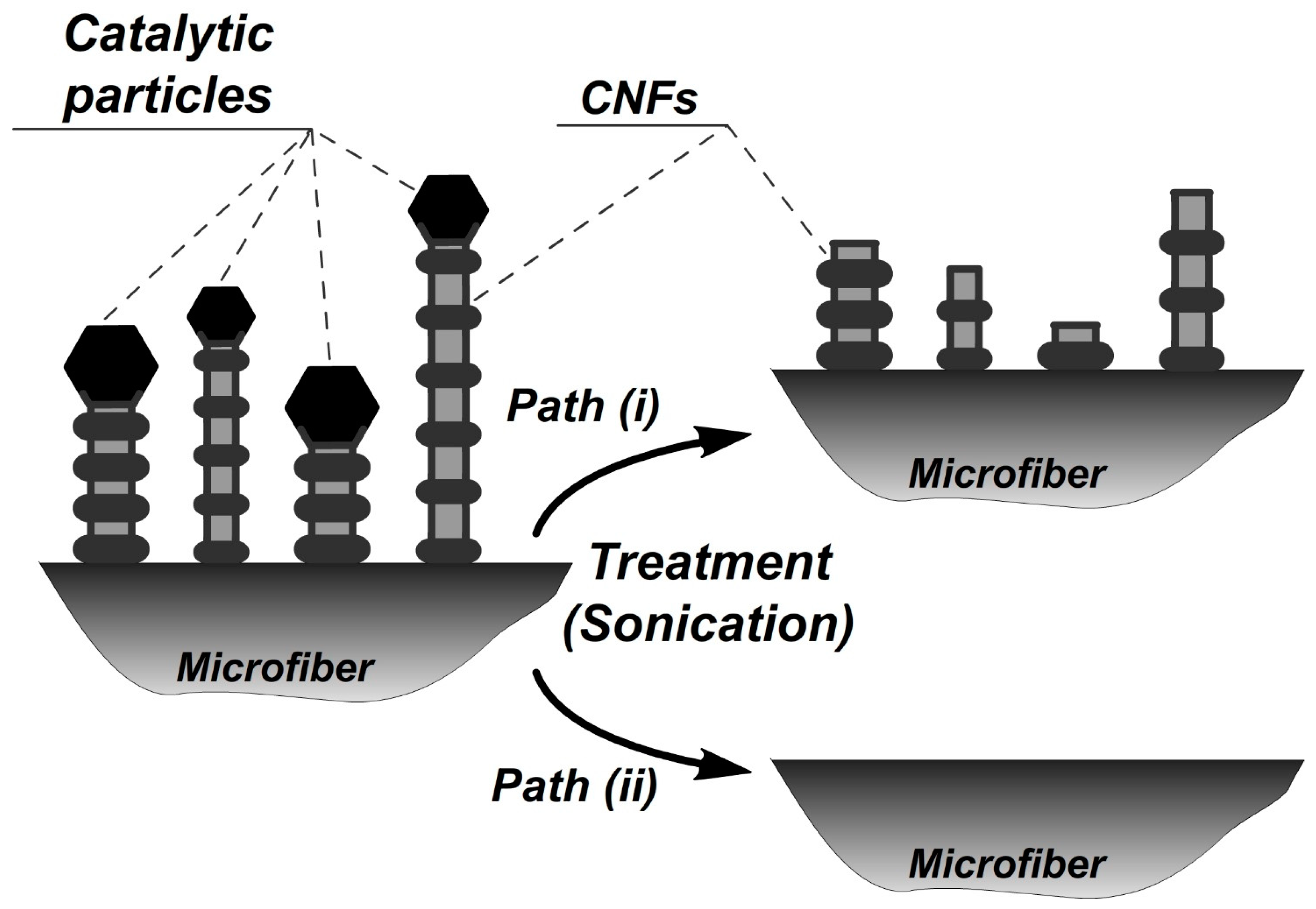 Coatings 13 00256 g007 Coatings 13 00256 g007