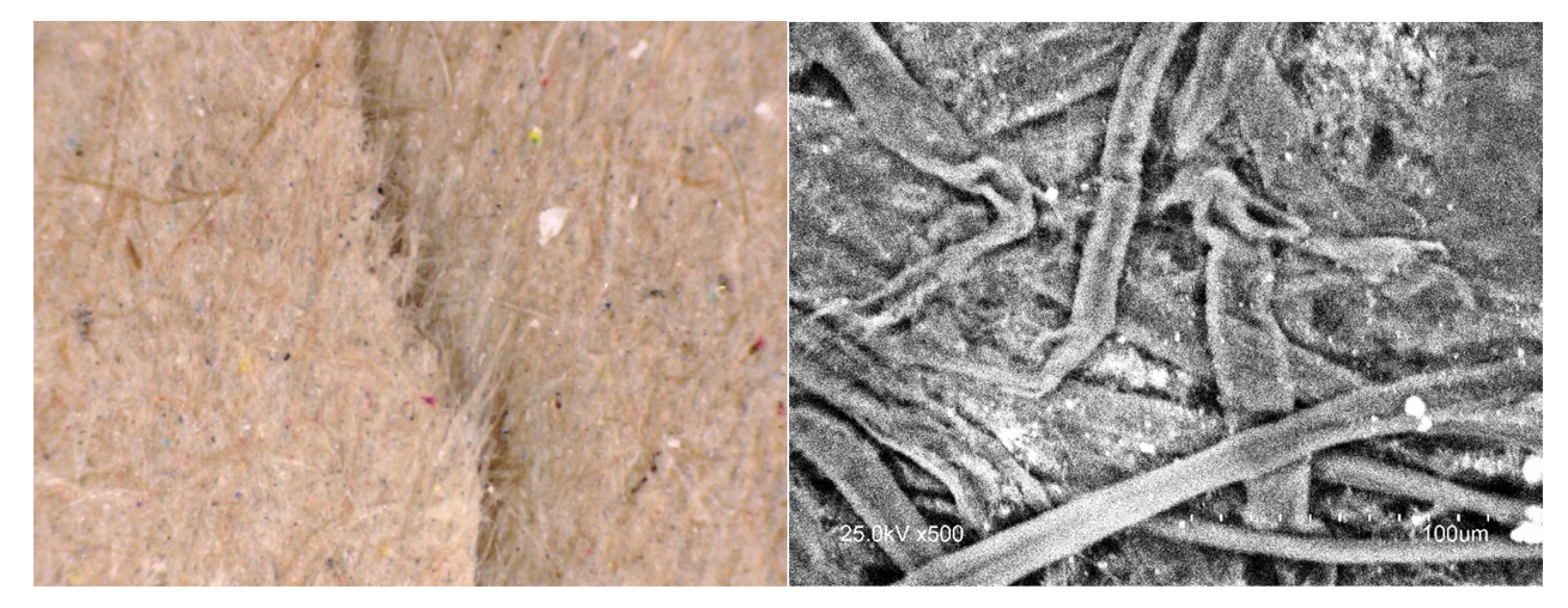 Coatings 13 00259 g001