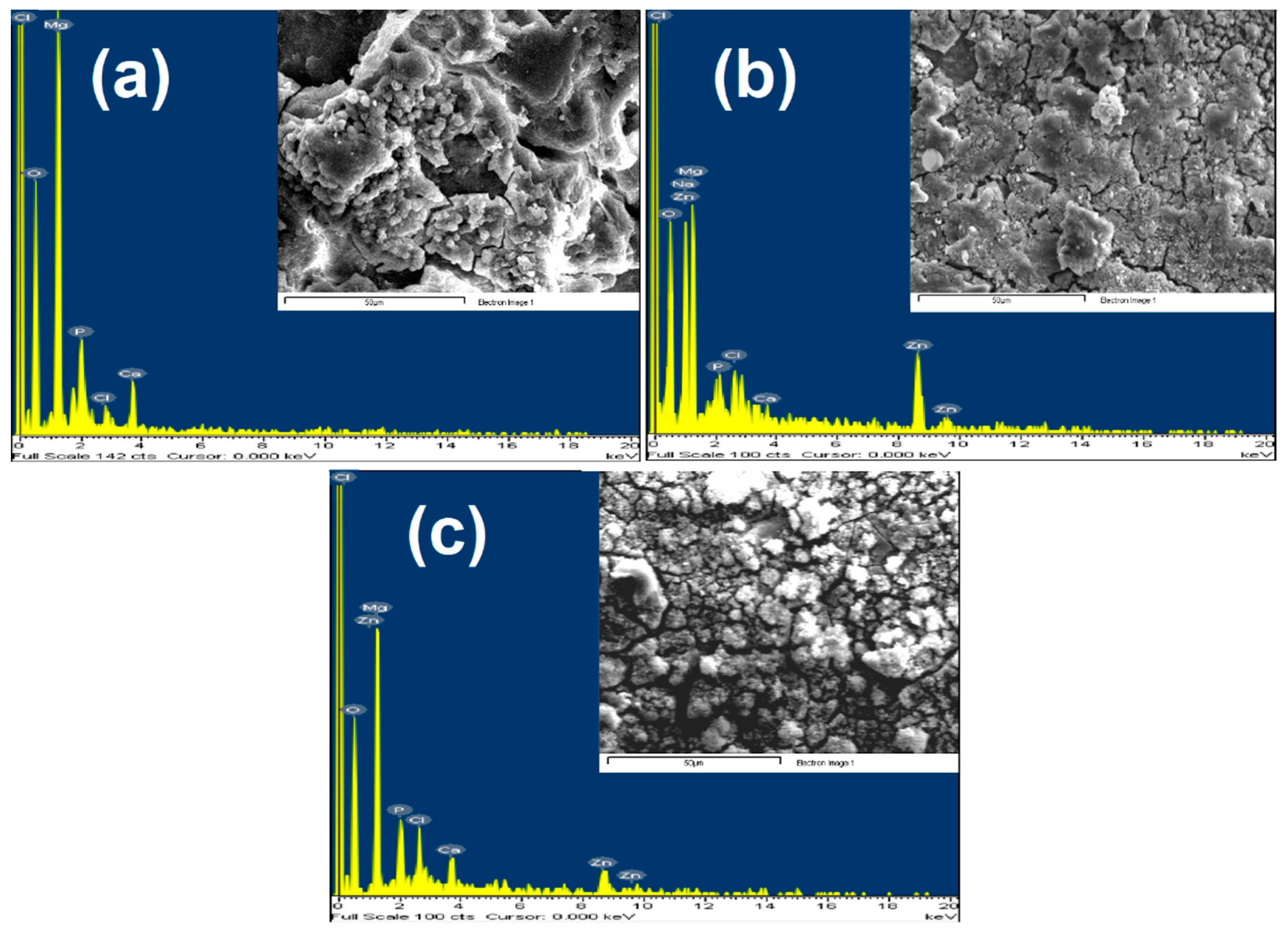 Coatings 13 00260 g012 Coatings 13 00260 g012