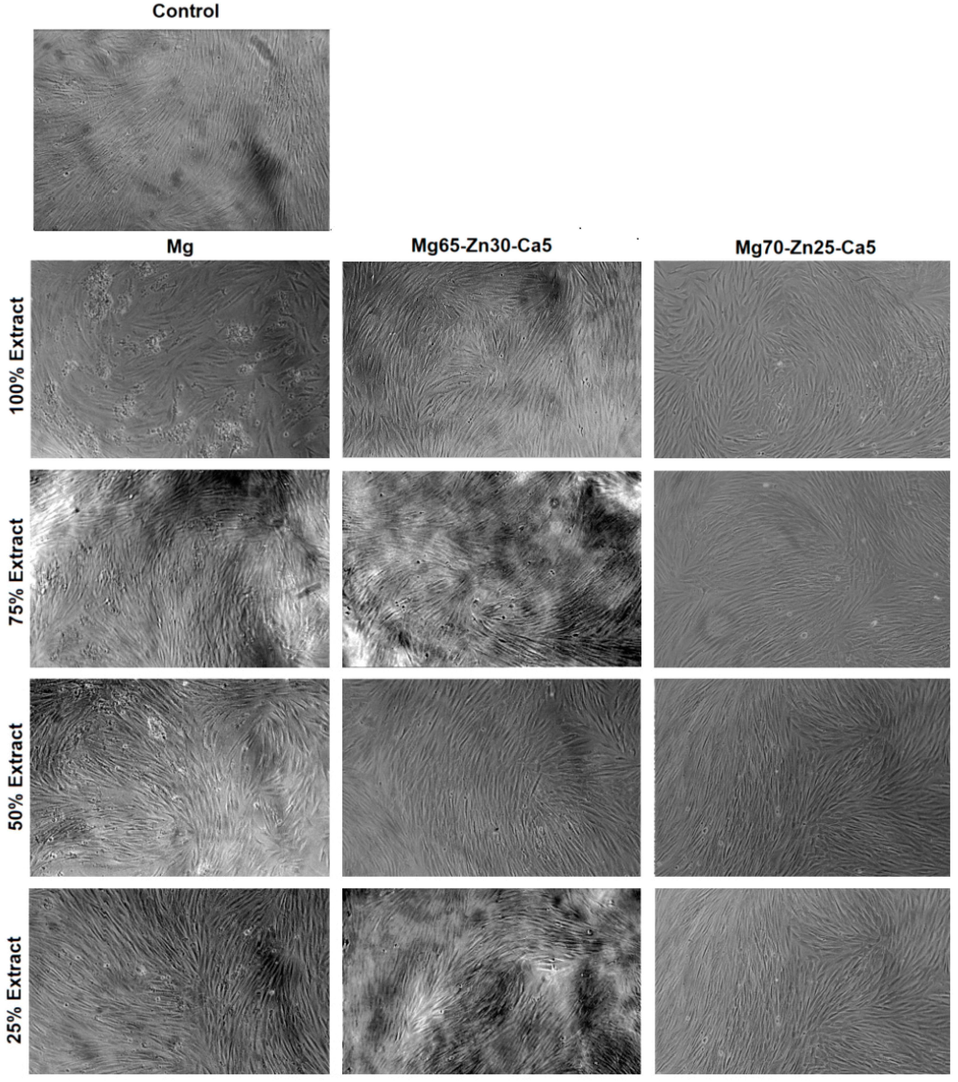 Coatings 13 00260 g014 Coatings 13 00260 g014