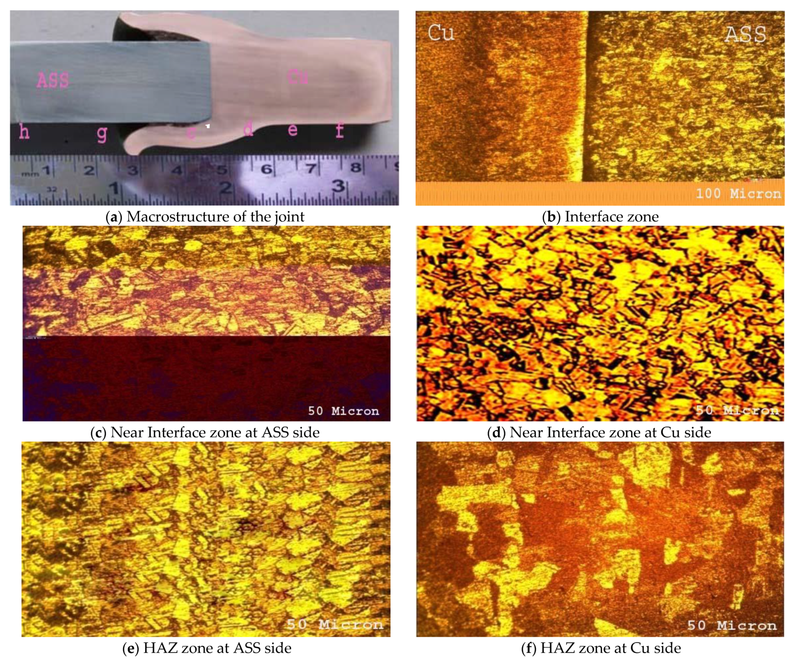 Coatings 13 00261 g004a