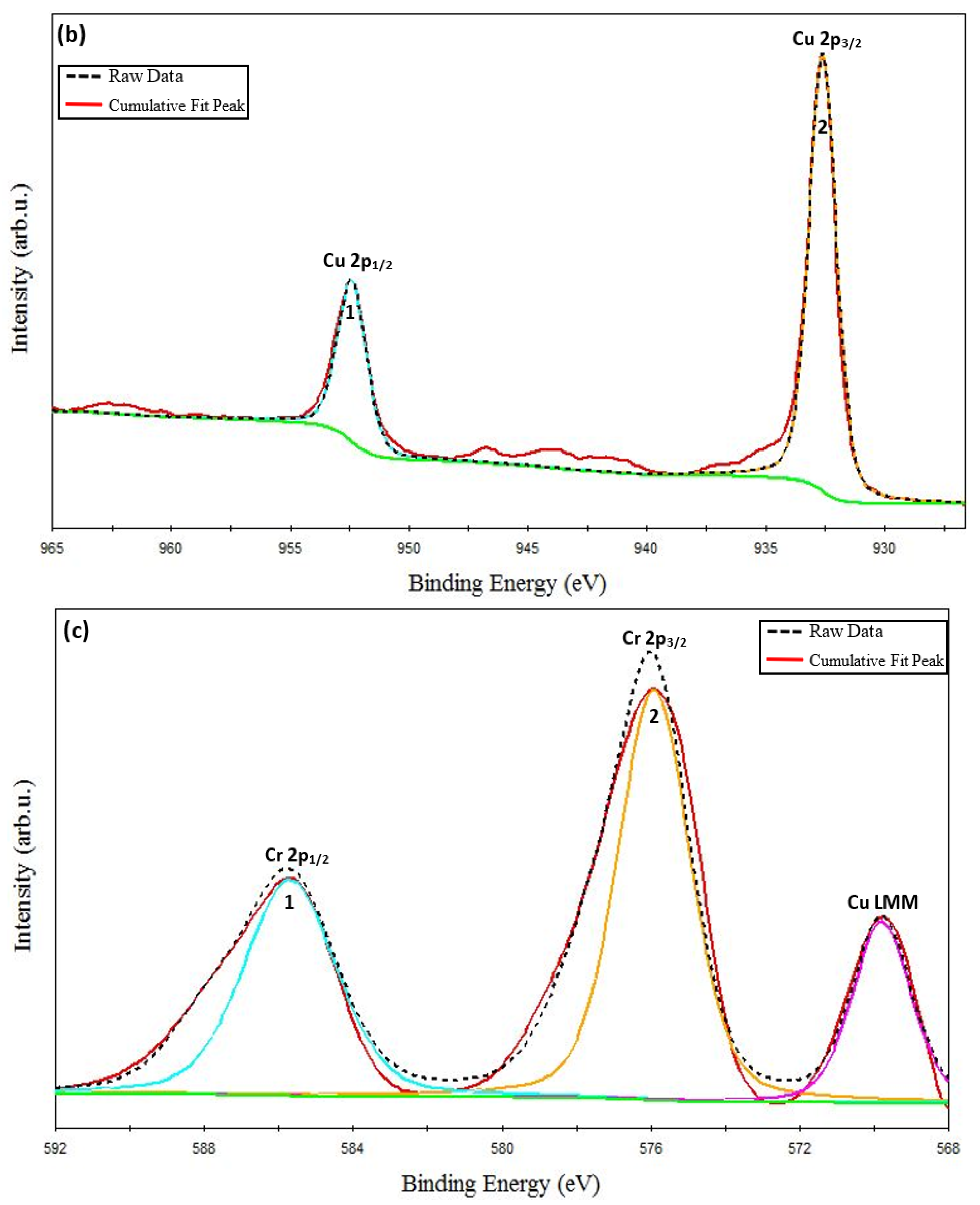 Coatings 13 00263 g003b