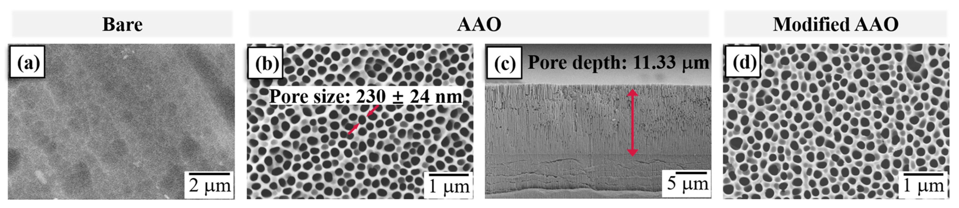 Coatings 13 00264 g001