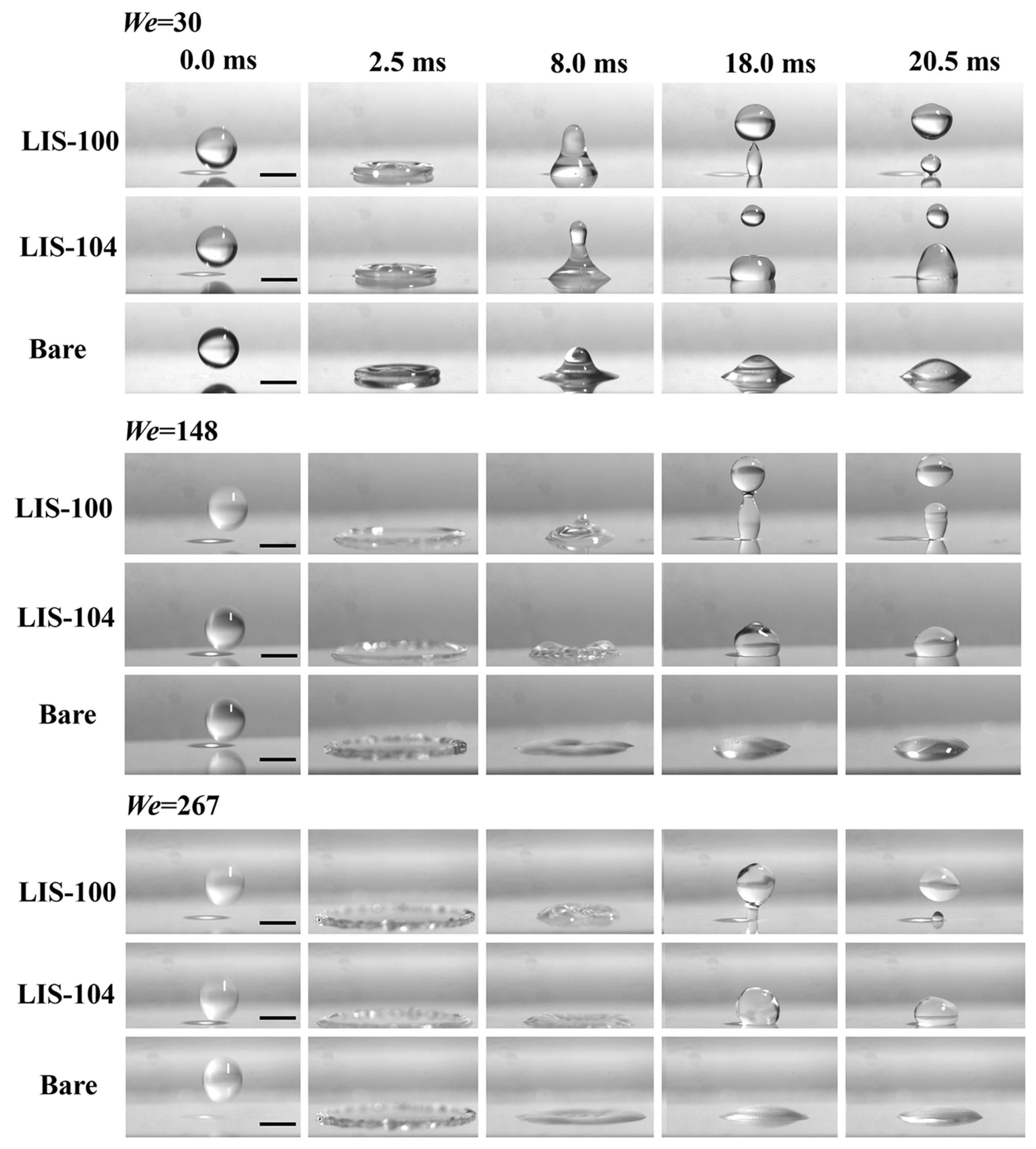 Coatings 13 00264 g003