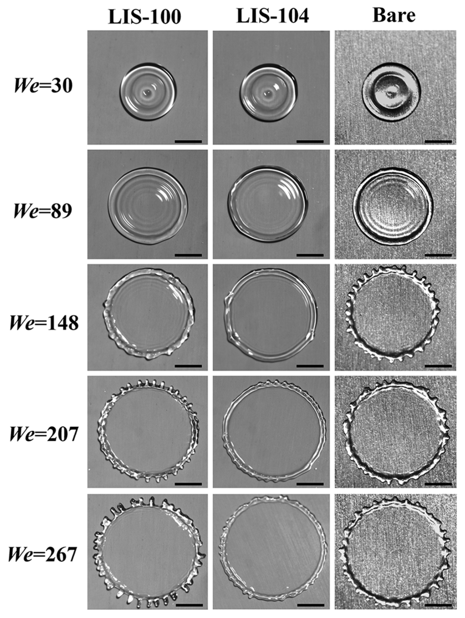 Coatings 13 00264 g005