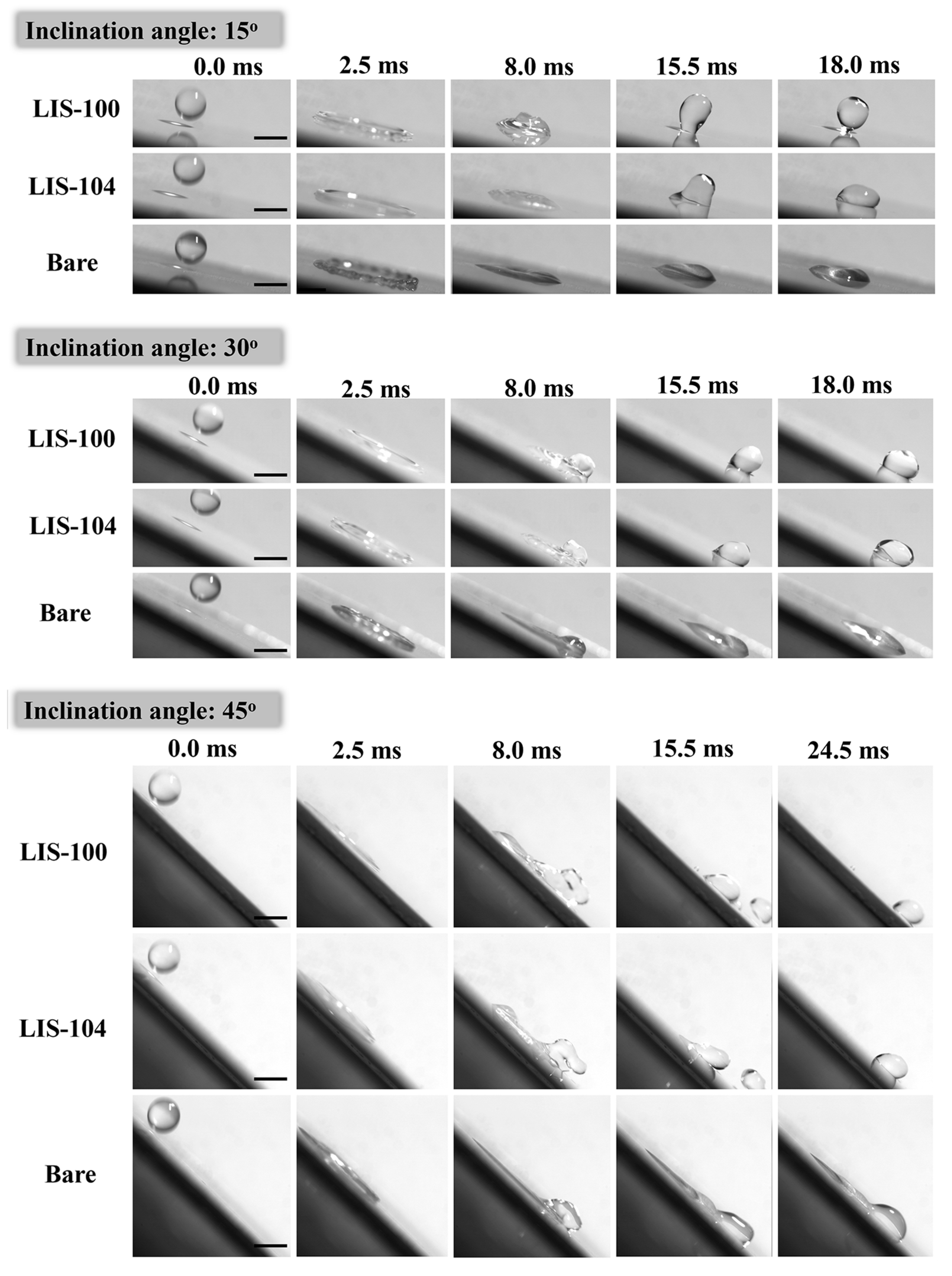 Coatings 13 00264 g007