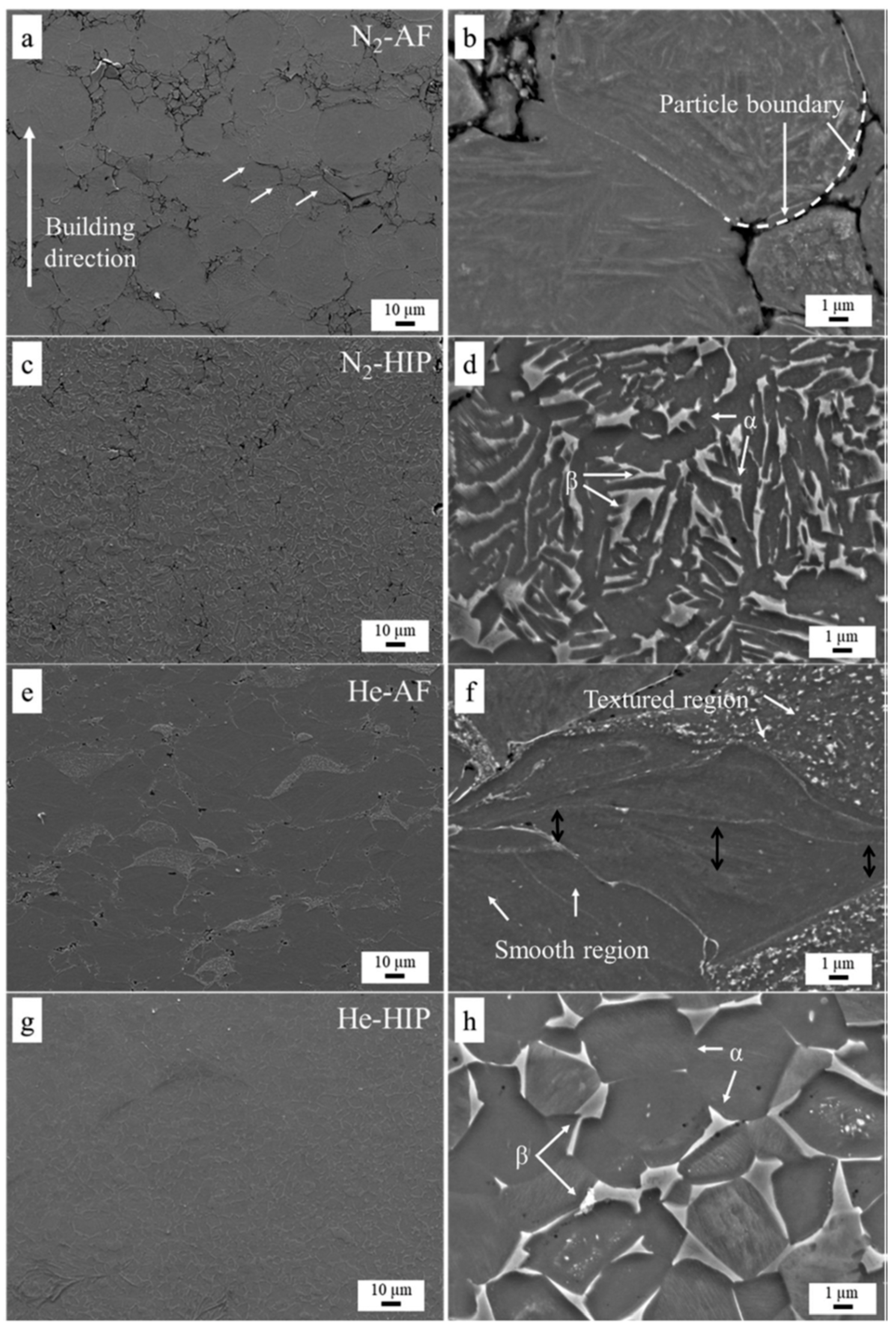 Coatings 13 00267 g010 Coatings 13 00267 g010