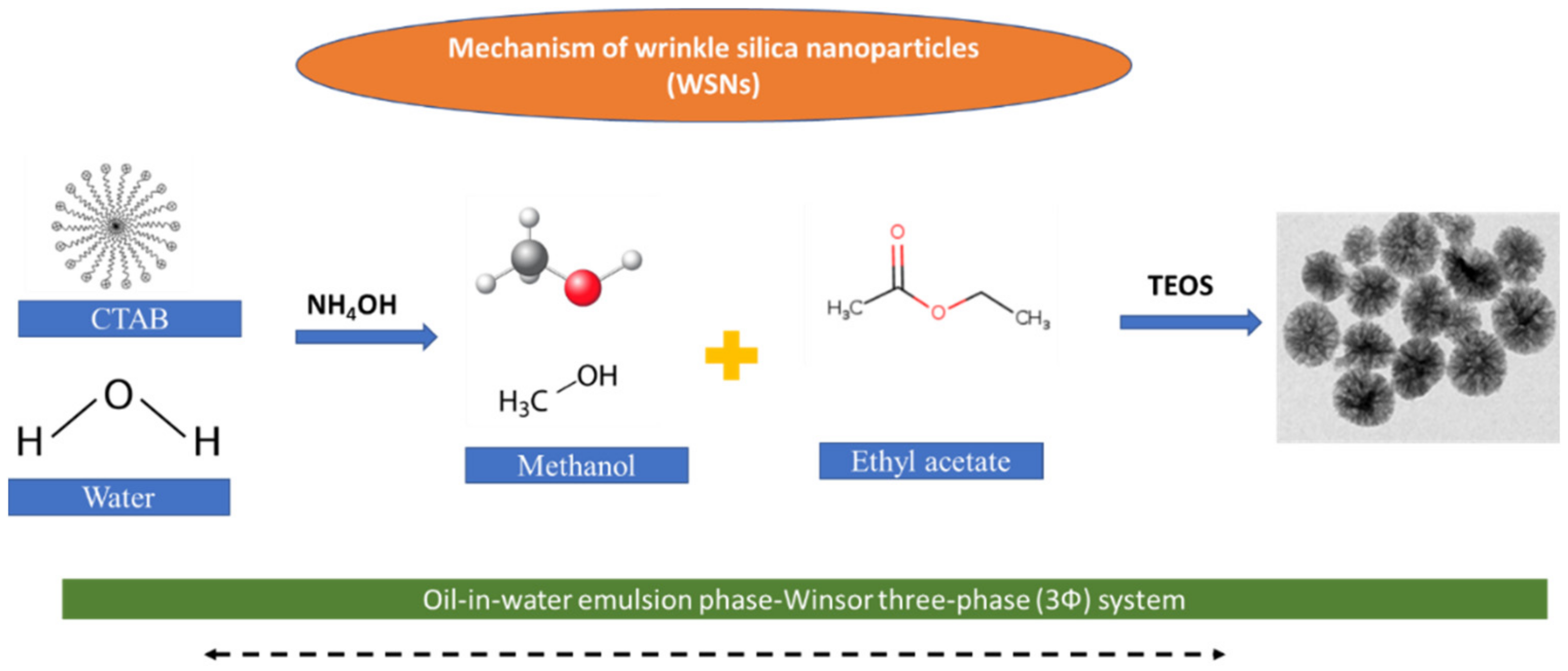 Coatings 13 00268 g004