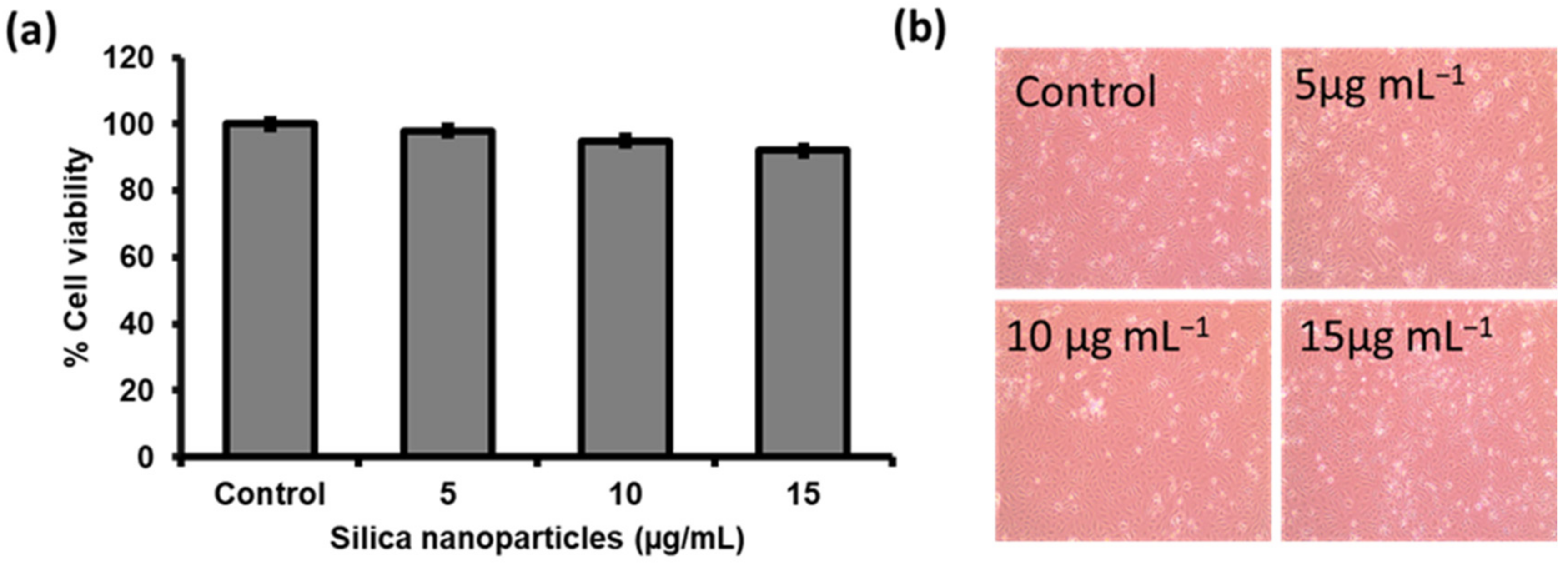 Coatings 13 00268 g006