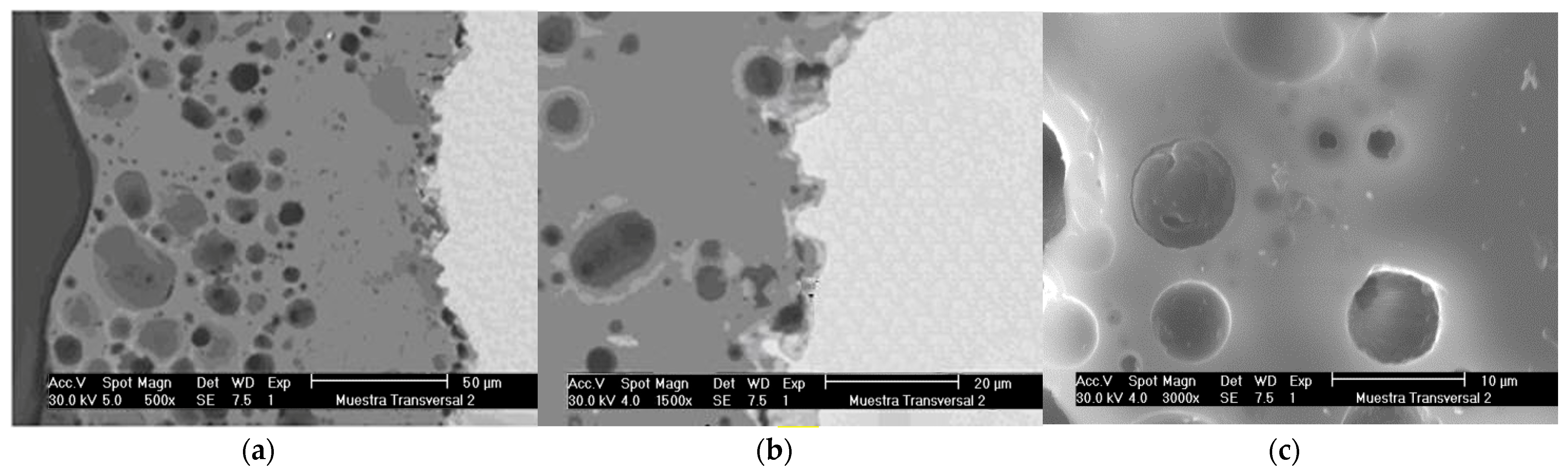 Coatings 13 00269 g003