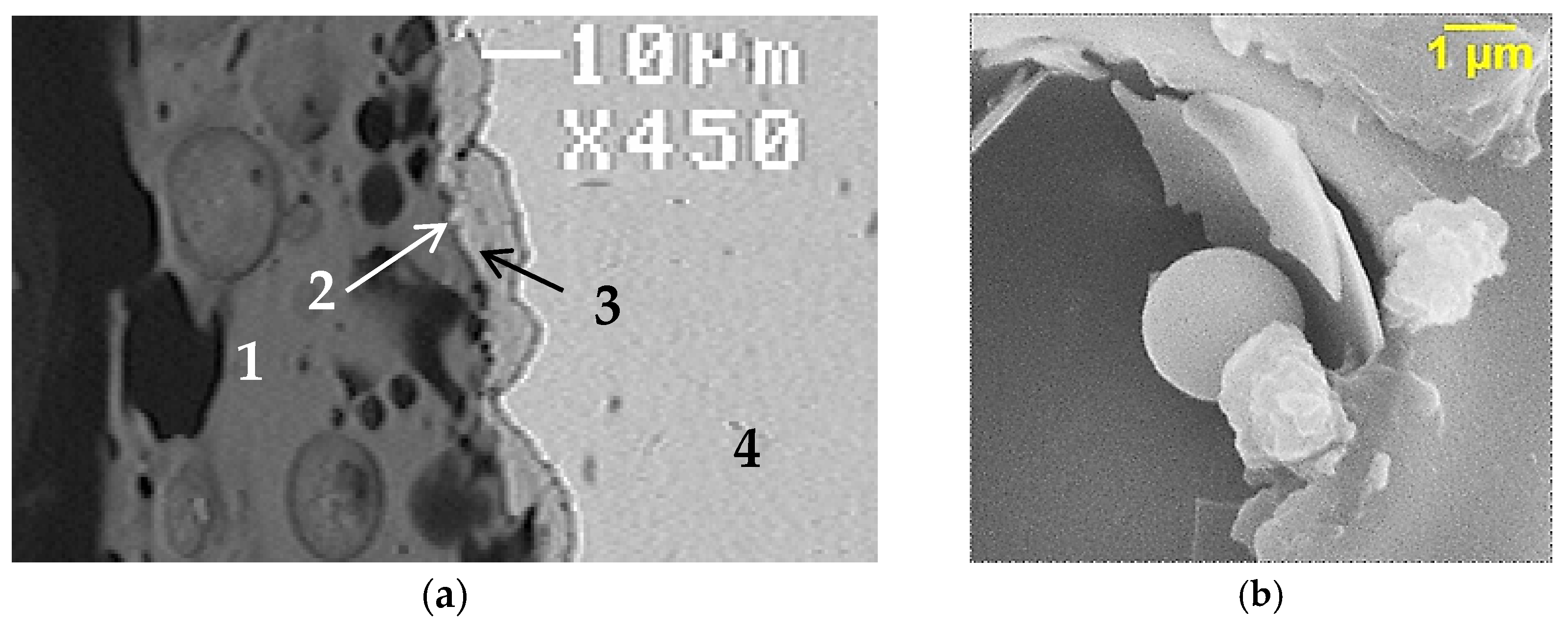 Coatings 13 00269 g004