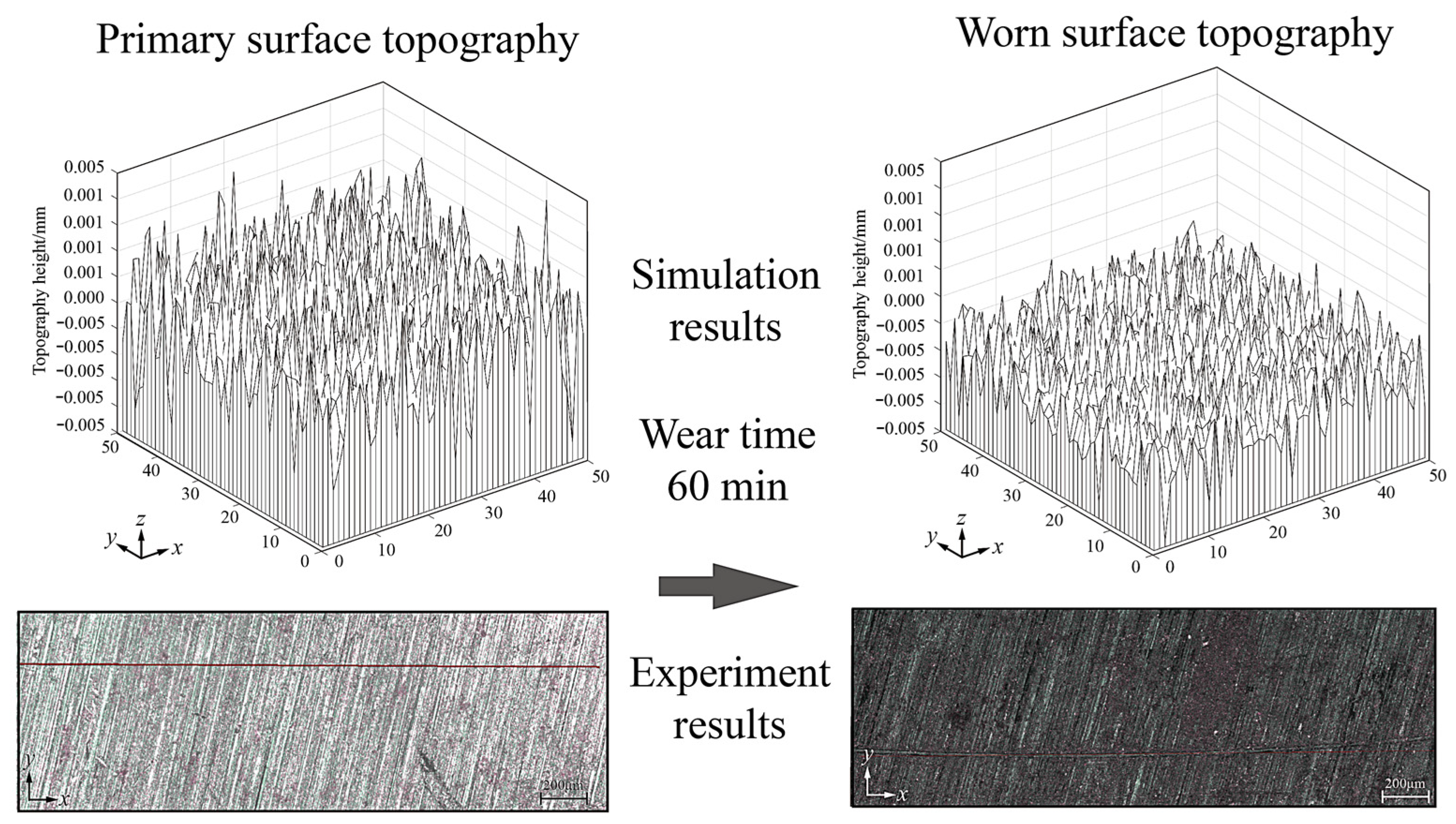 Coatings 13 00270 g012