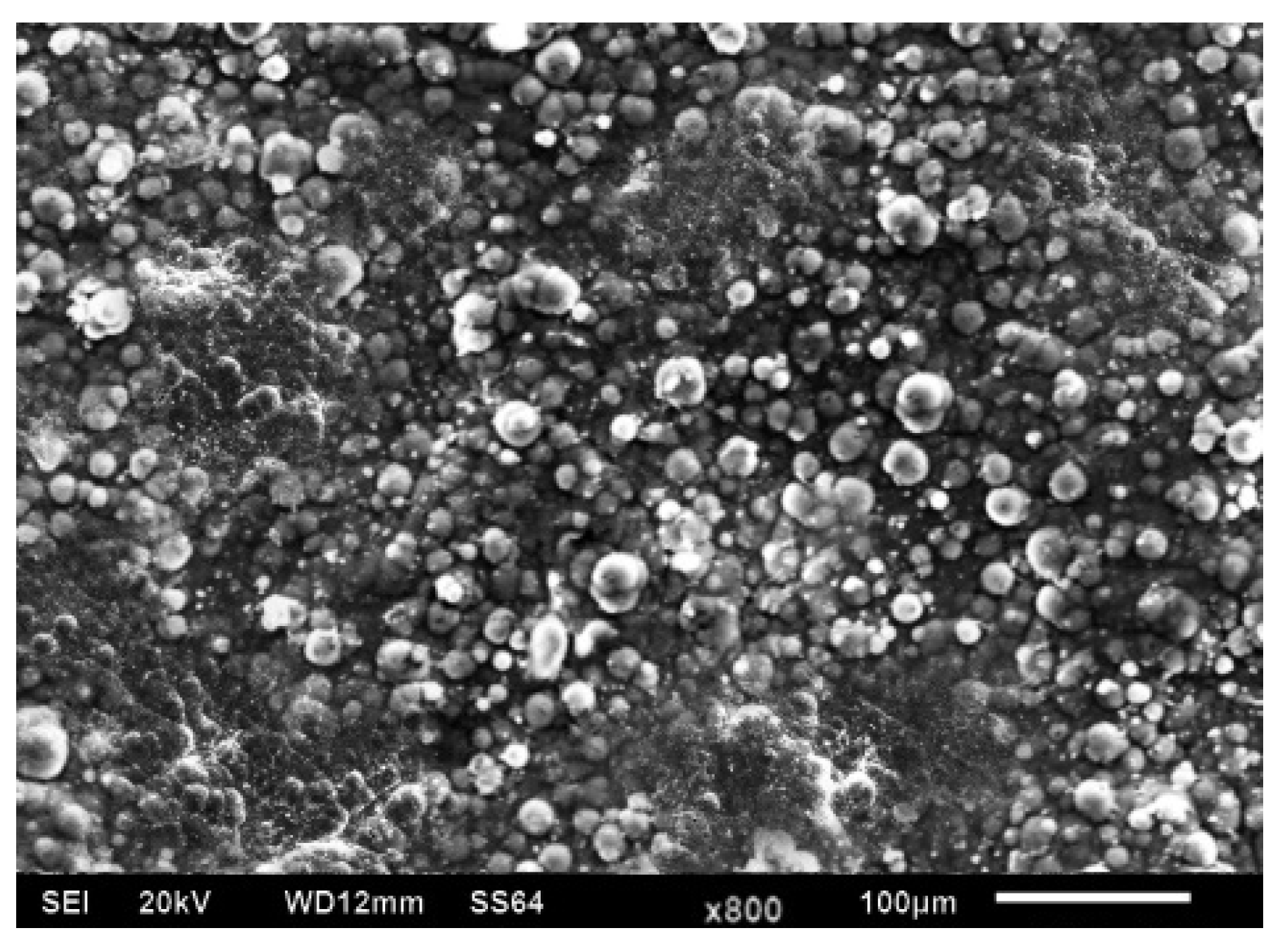 Coatings 13 00274 g001 Coatings 13 00274 g001