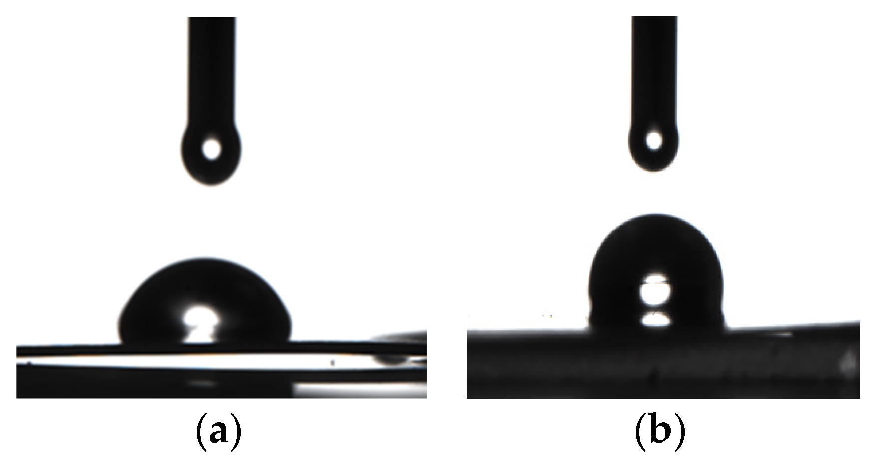 Coatings 13 00274 g003 Coatings 13 00274 g003