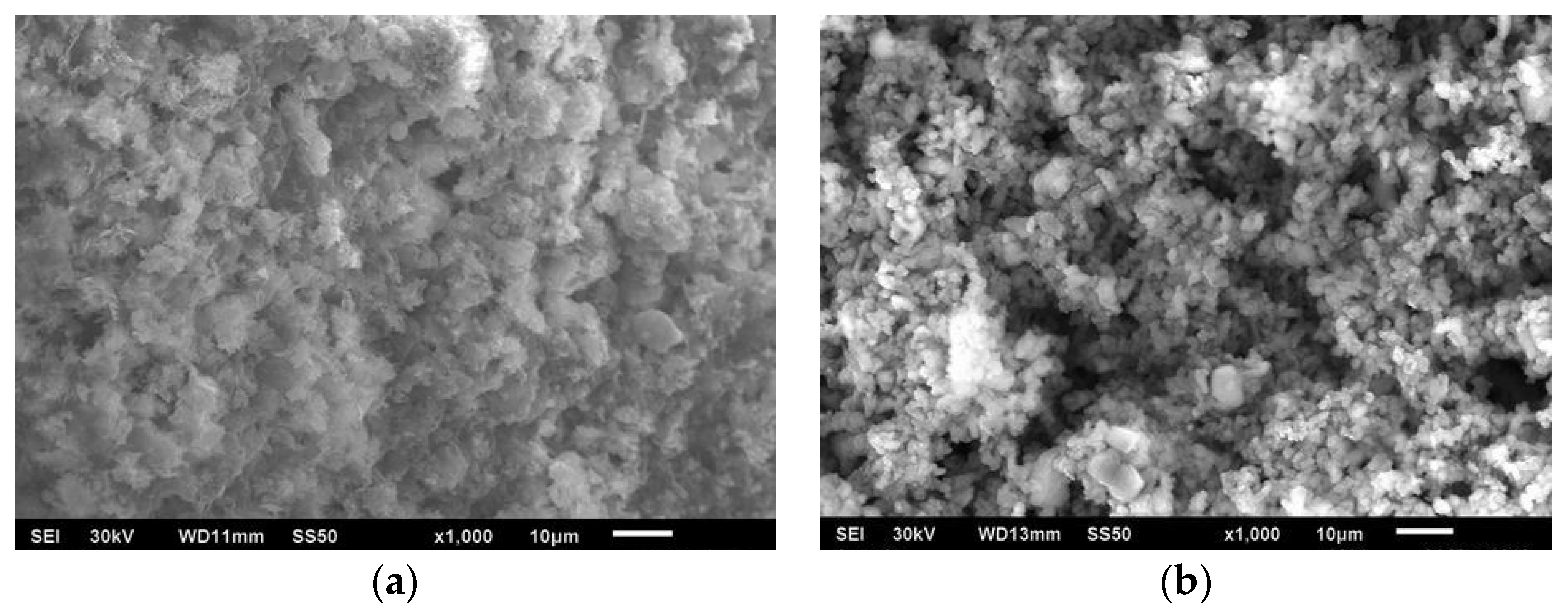 Coatings 13 00274 g006 Coatings 13 00274 g006