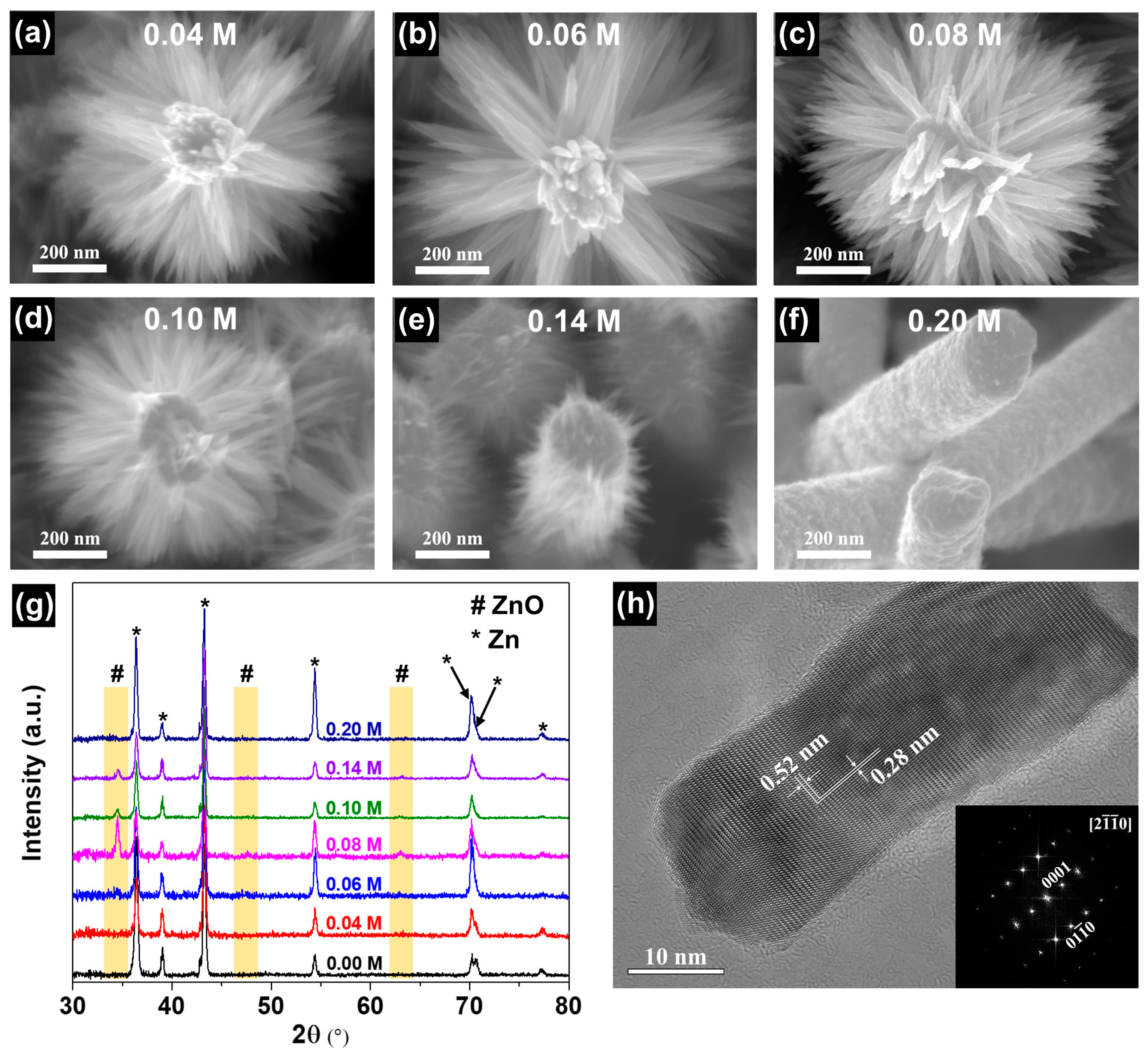 Coatings 13 00275 g002