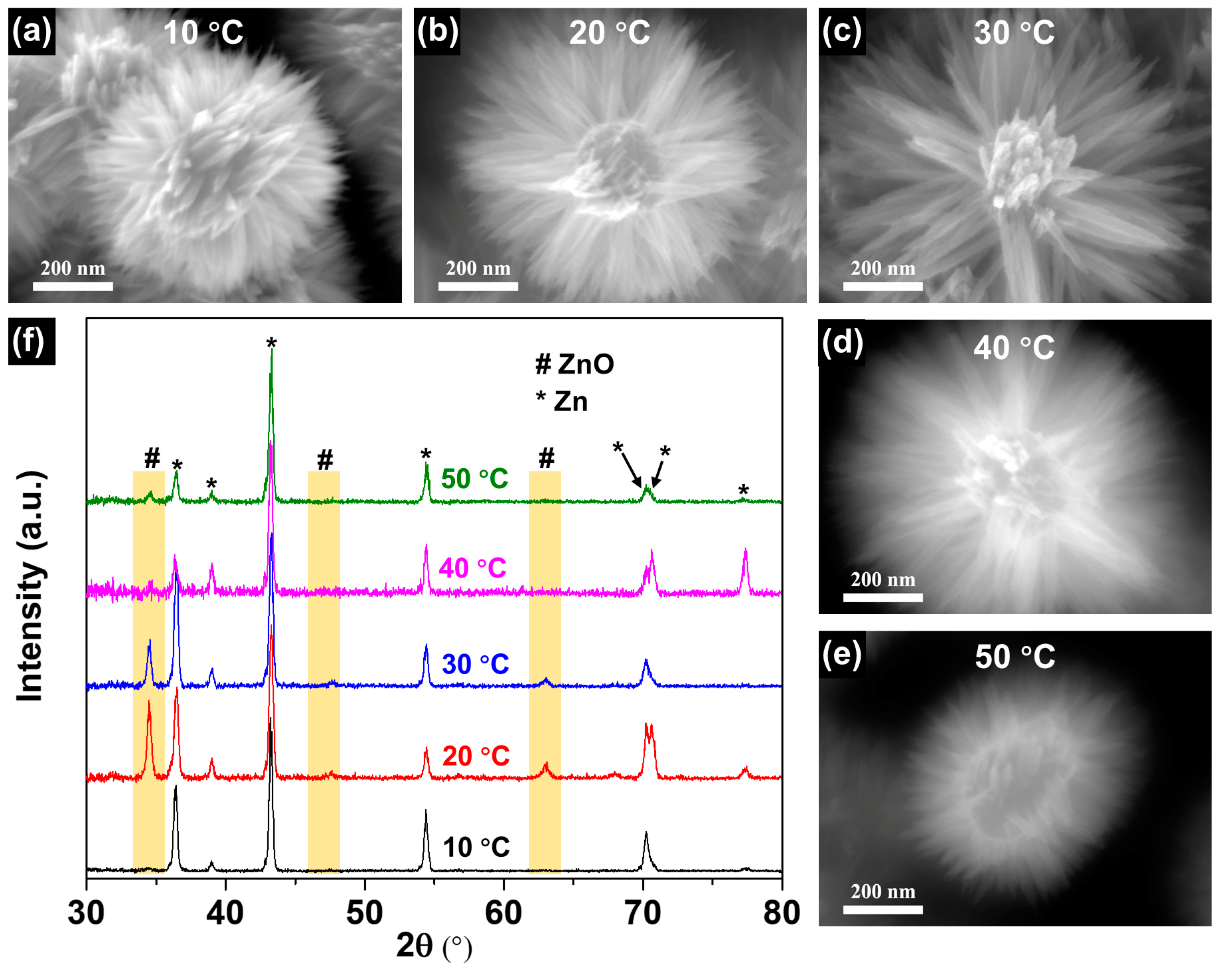 Coatings 13 00275 g003