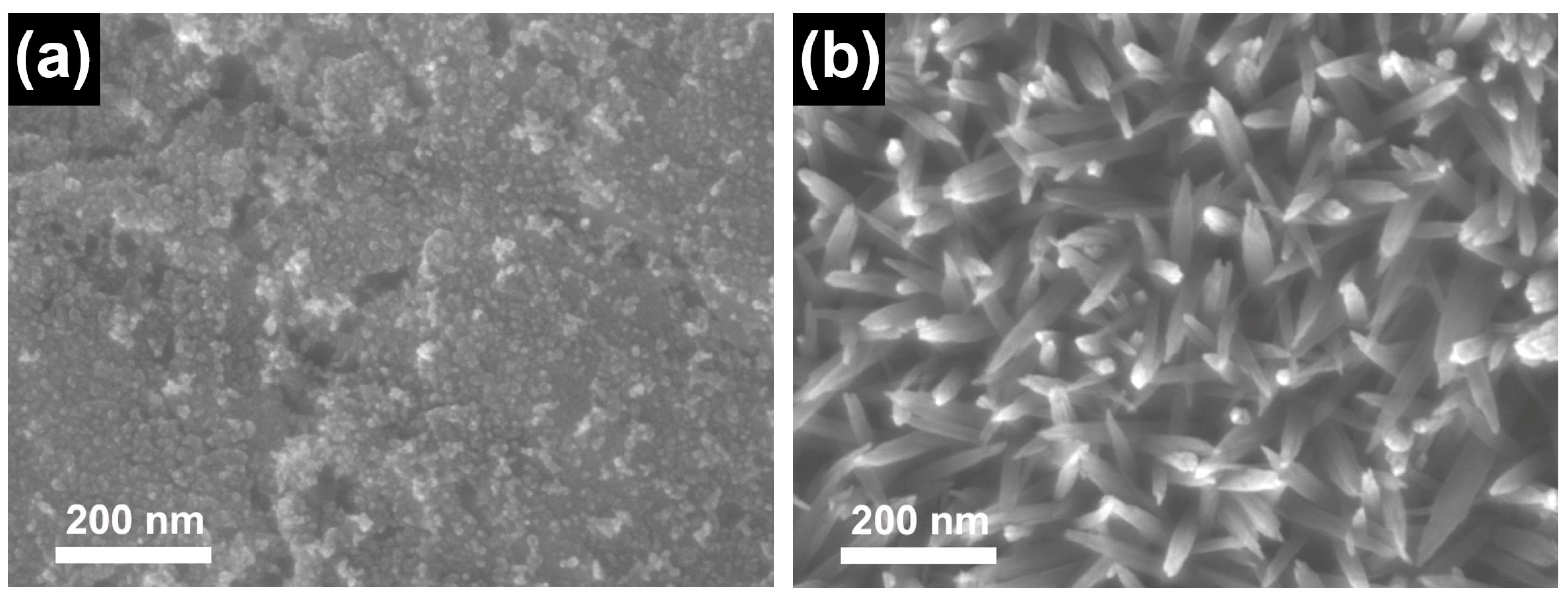 Coatings 13 00275 g005