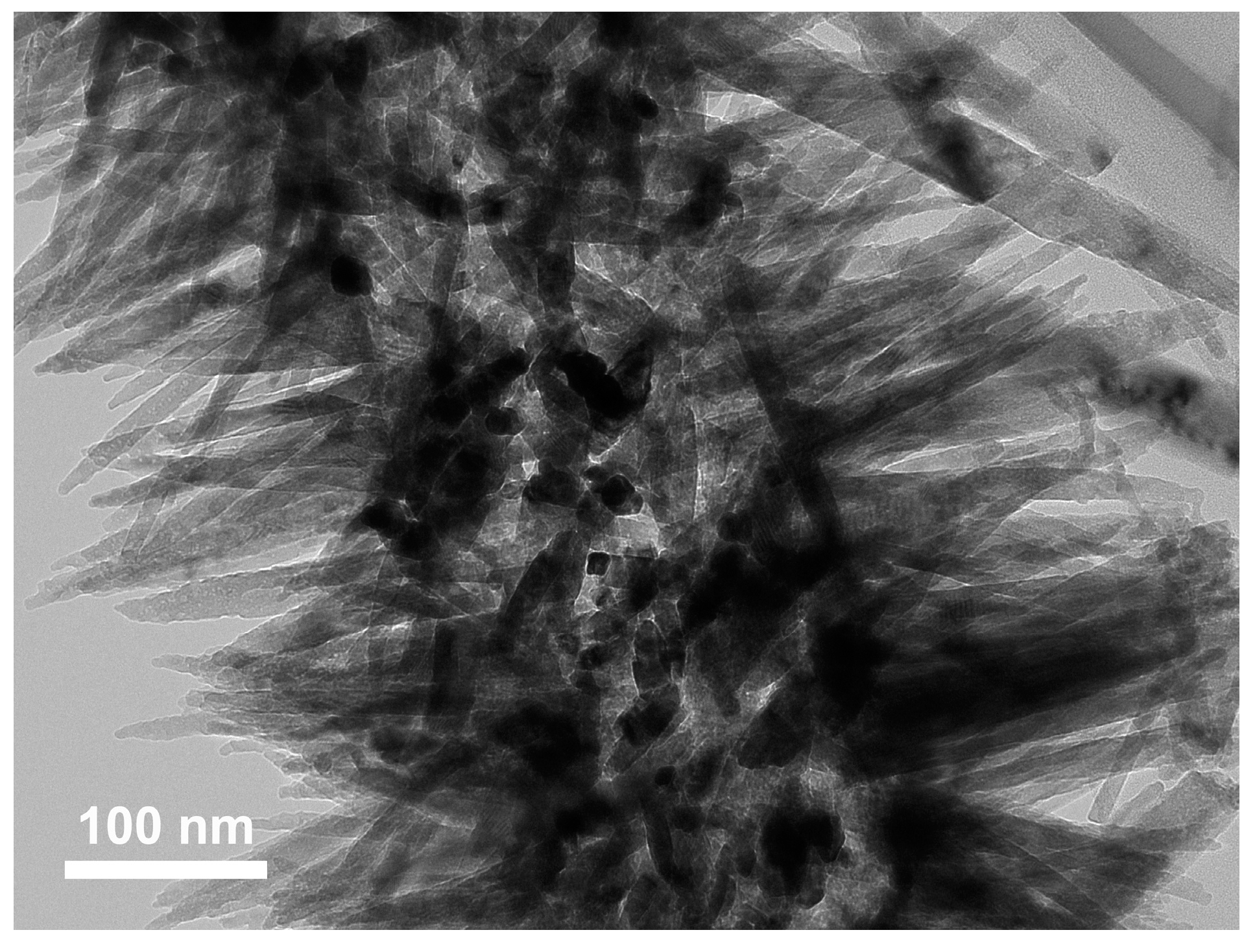 Coatings 13 00275 g006