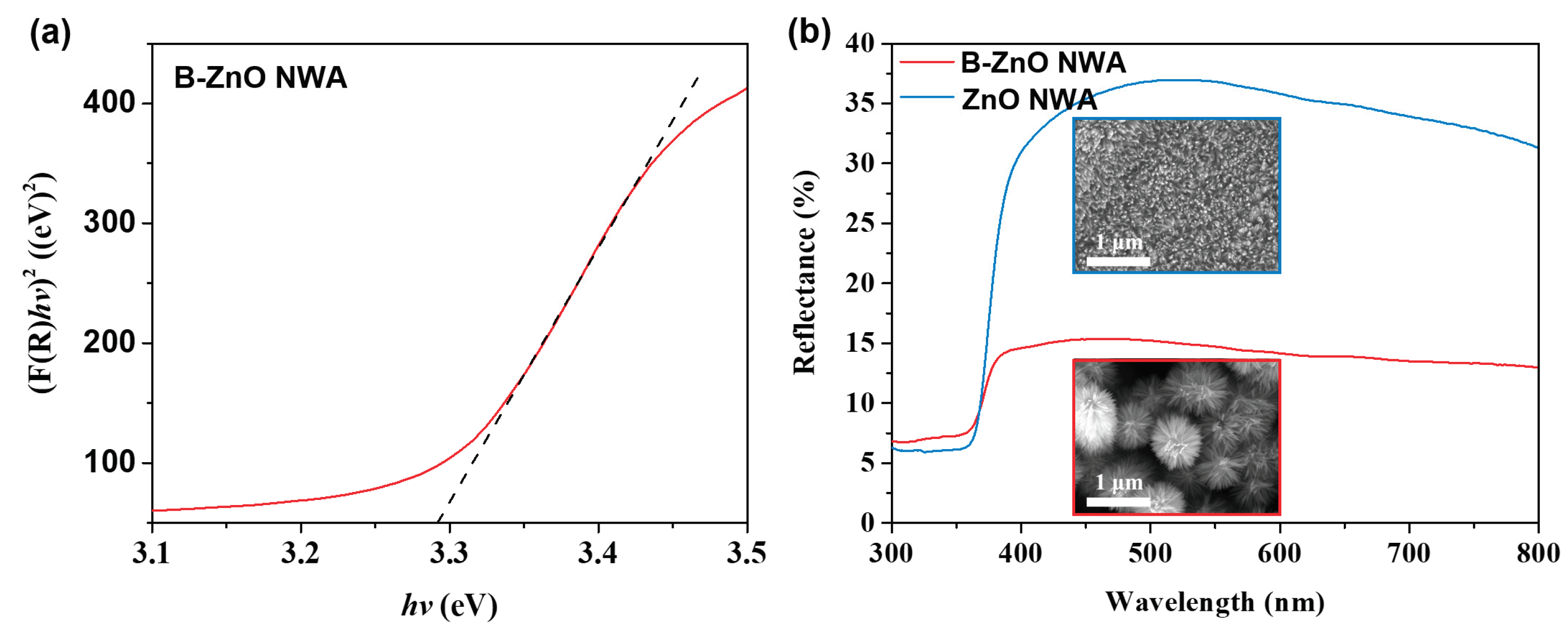Coatings 13 00275 g007