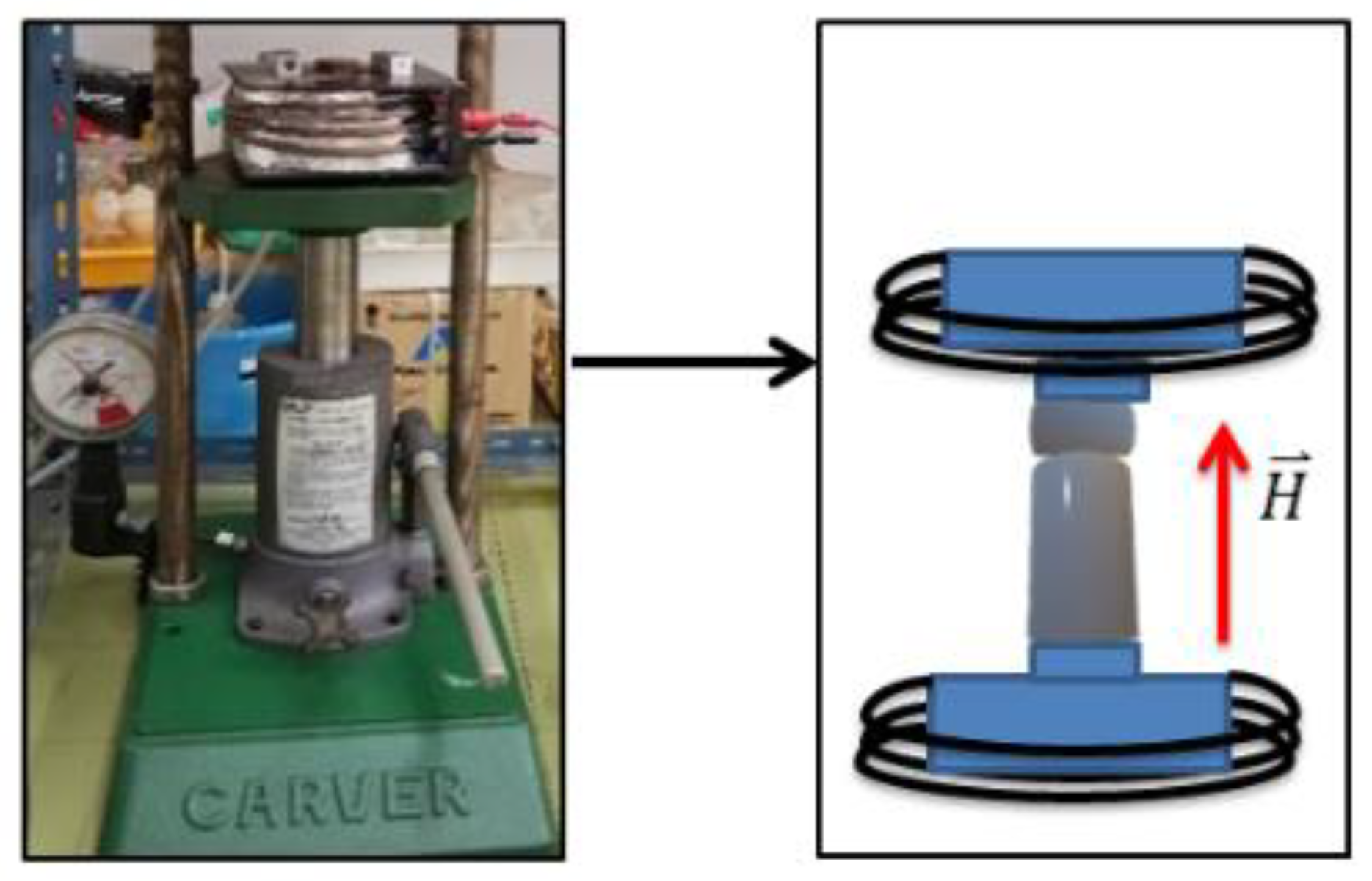 Coatings 13 00276 g001