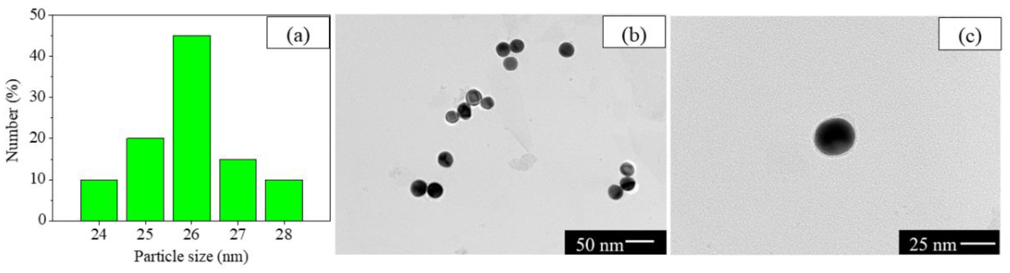 Coatings 13 00276 g003