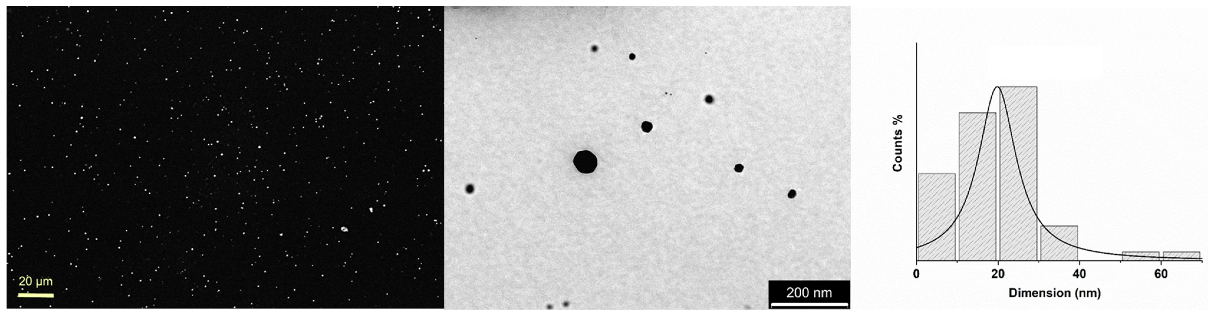 Coatings 13 00277 g003