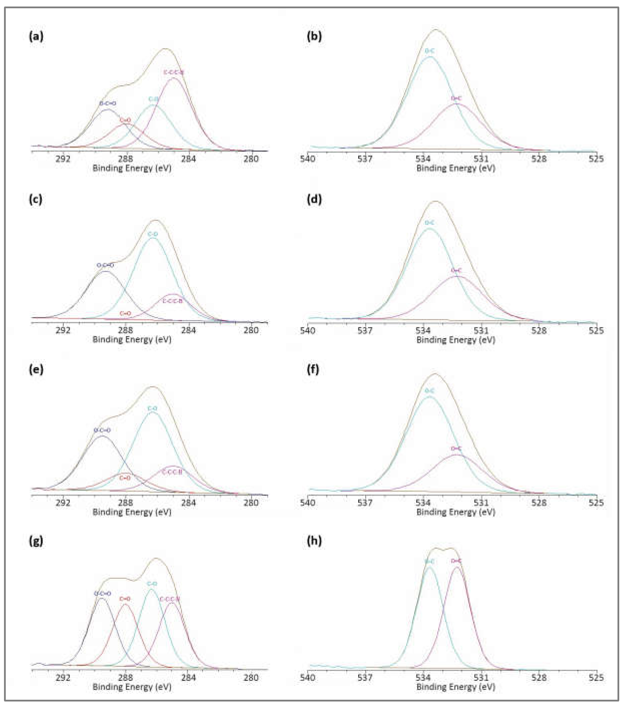 Coatings 13 00279 g006