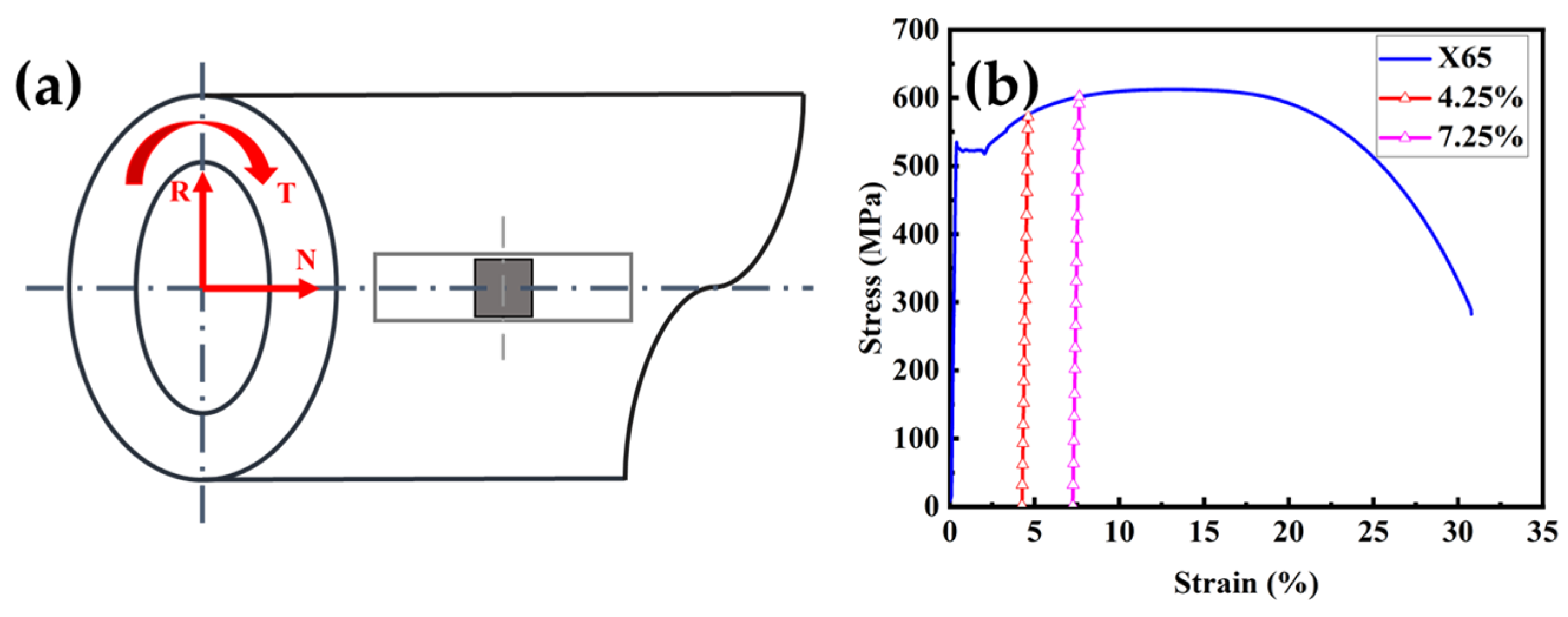 Coatings 13 00280 g002