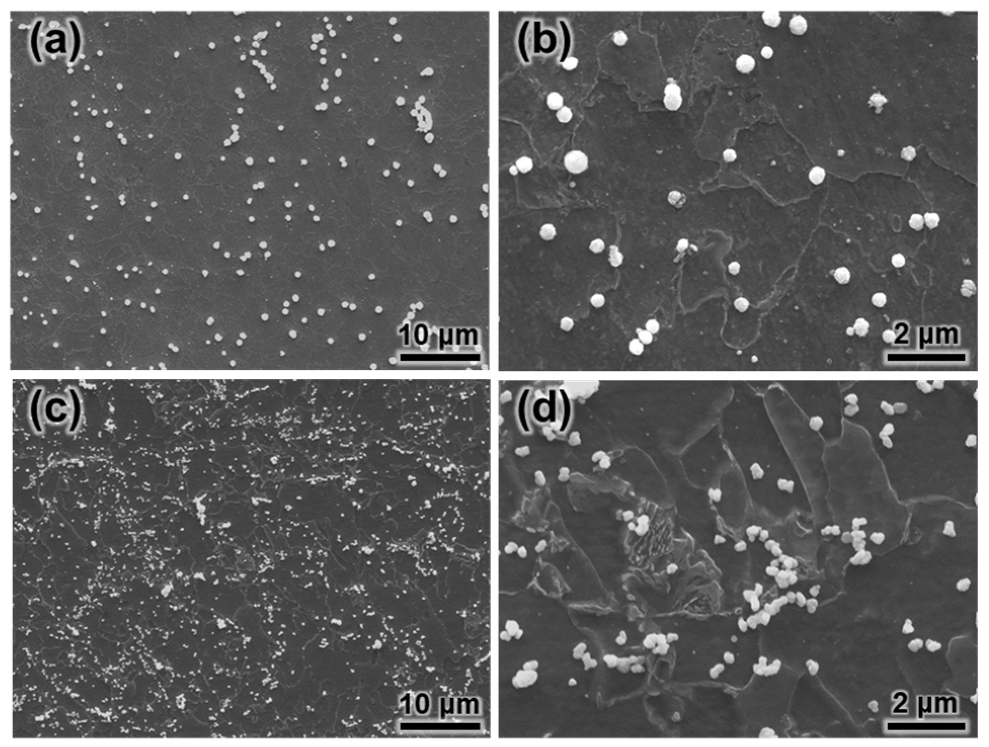 Coatings 13 00280 g006