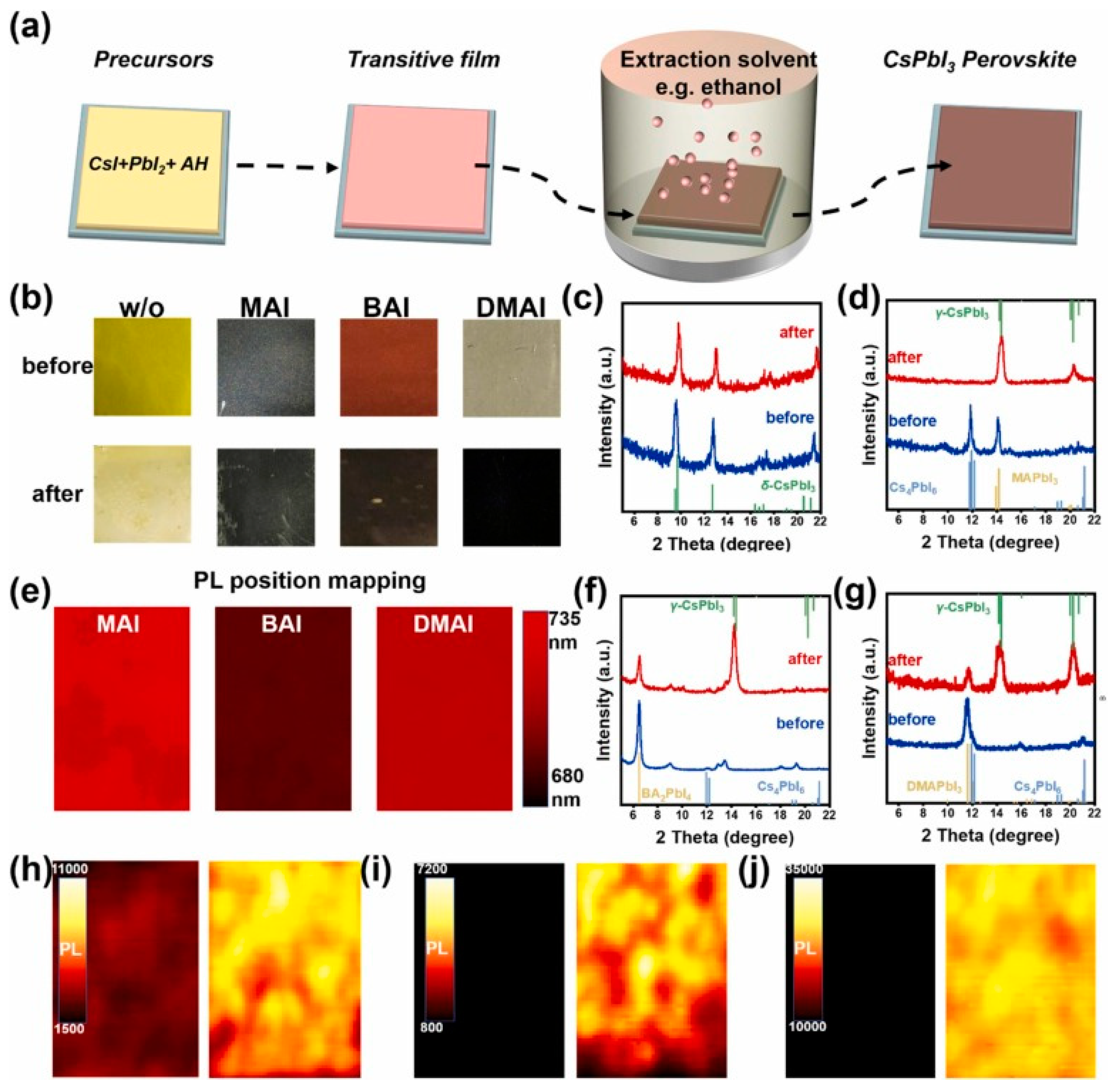 Coatings 13 00281 g002
