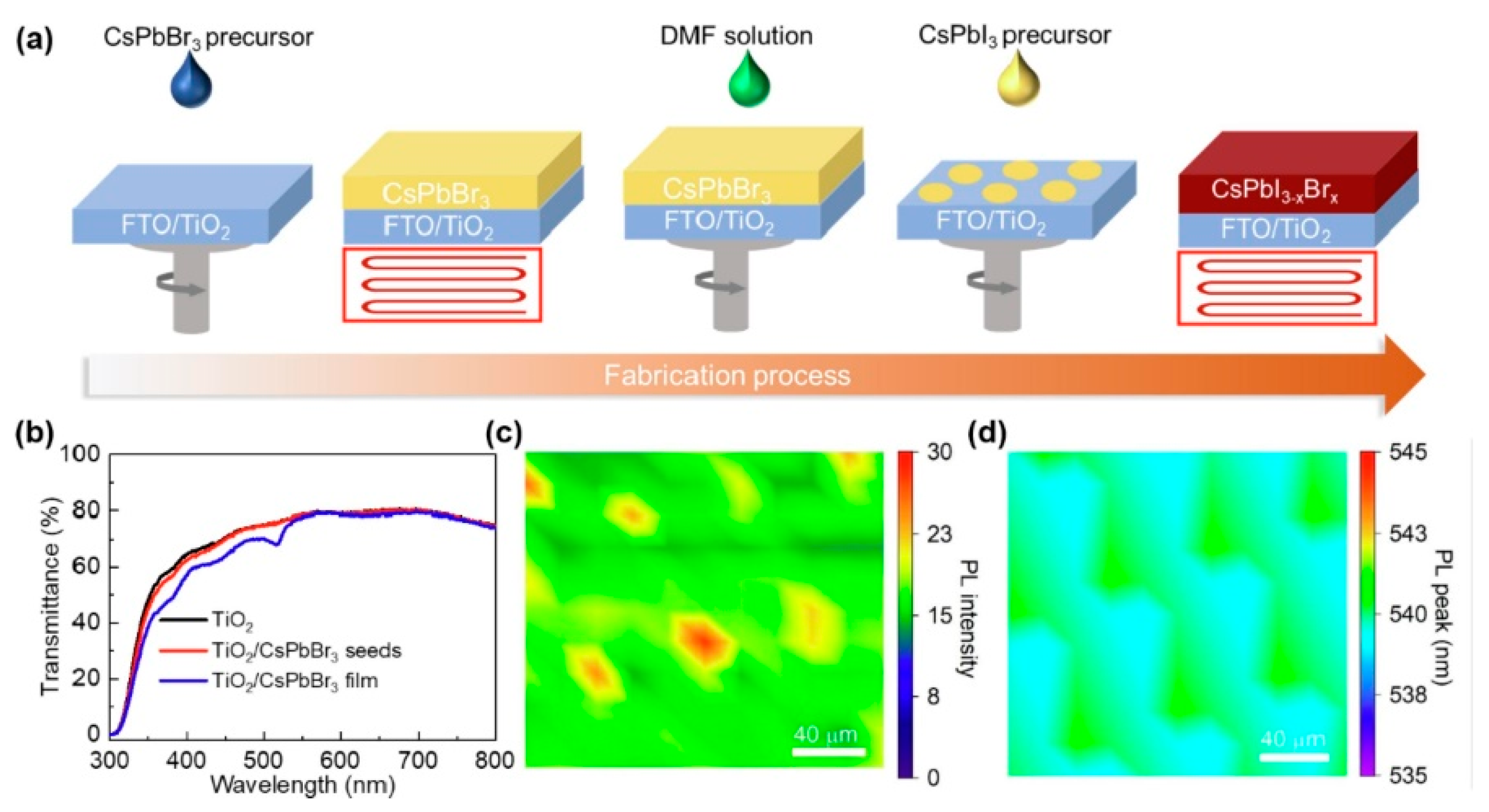 Coatings 13 00281 g003