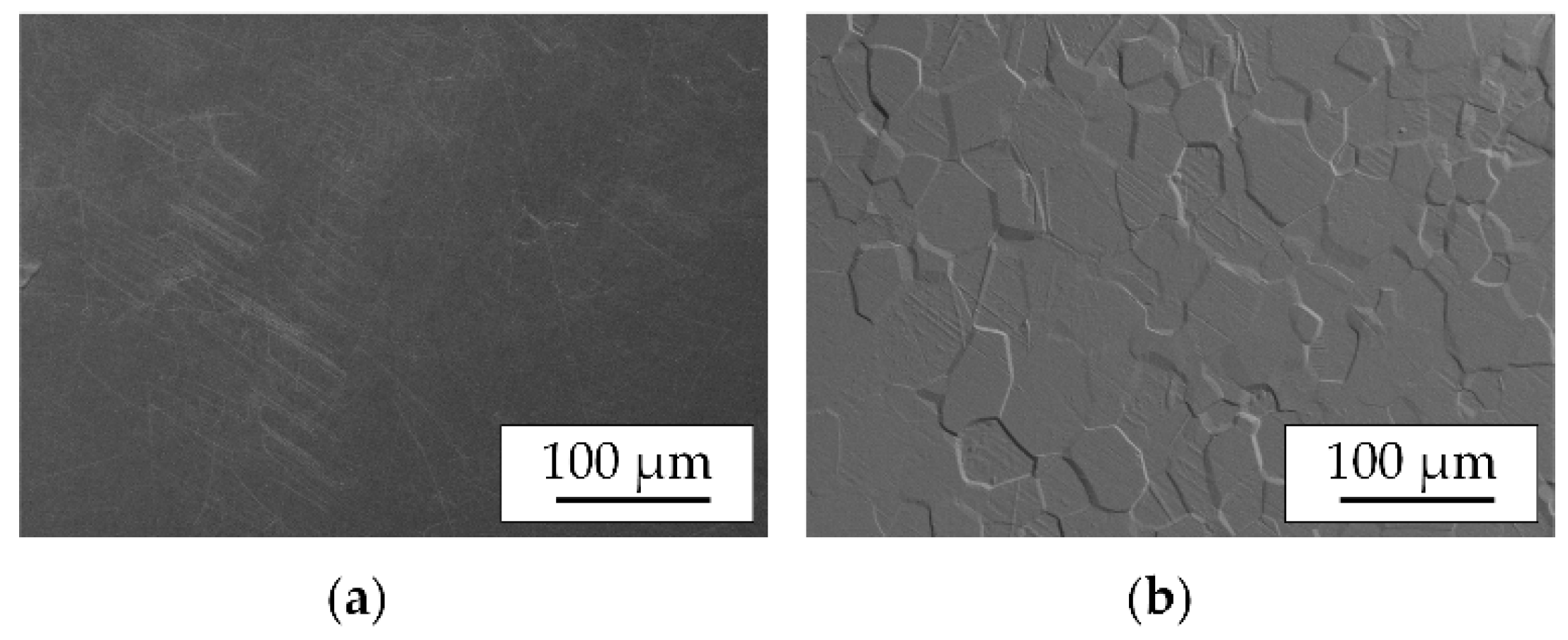 Coatings 13 00282 g001