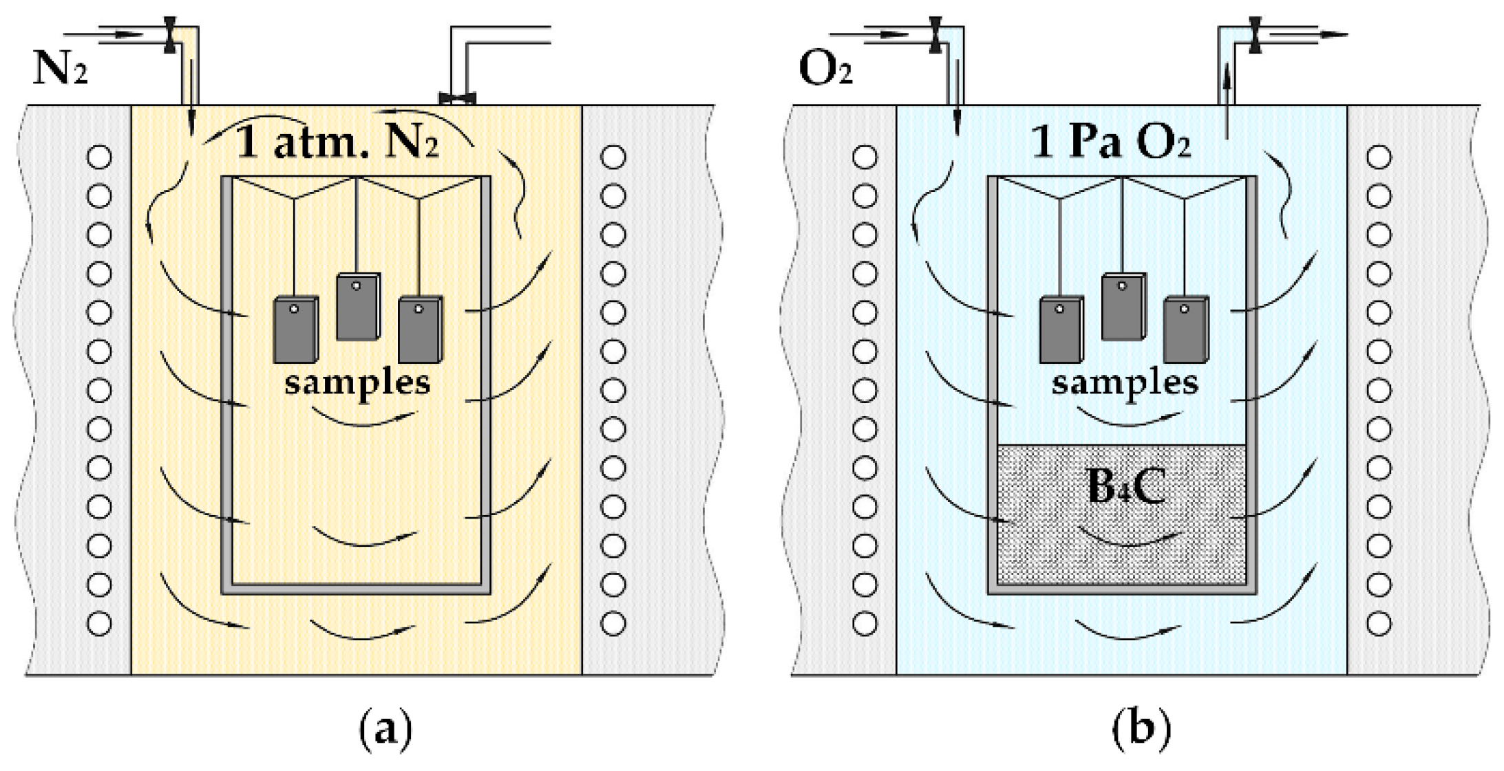 Coatings 13 00282 g002