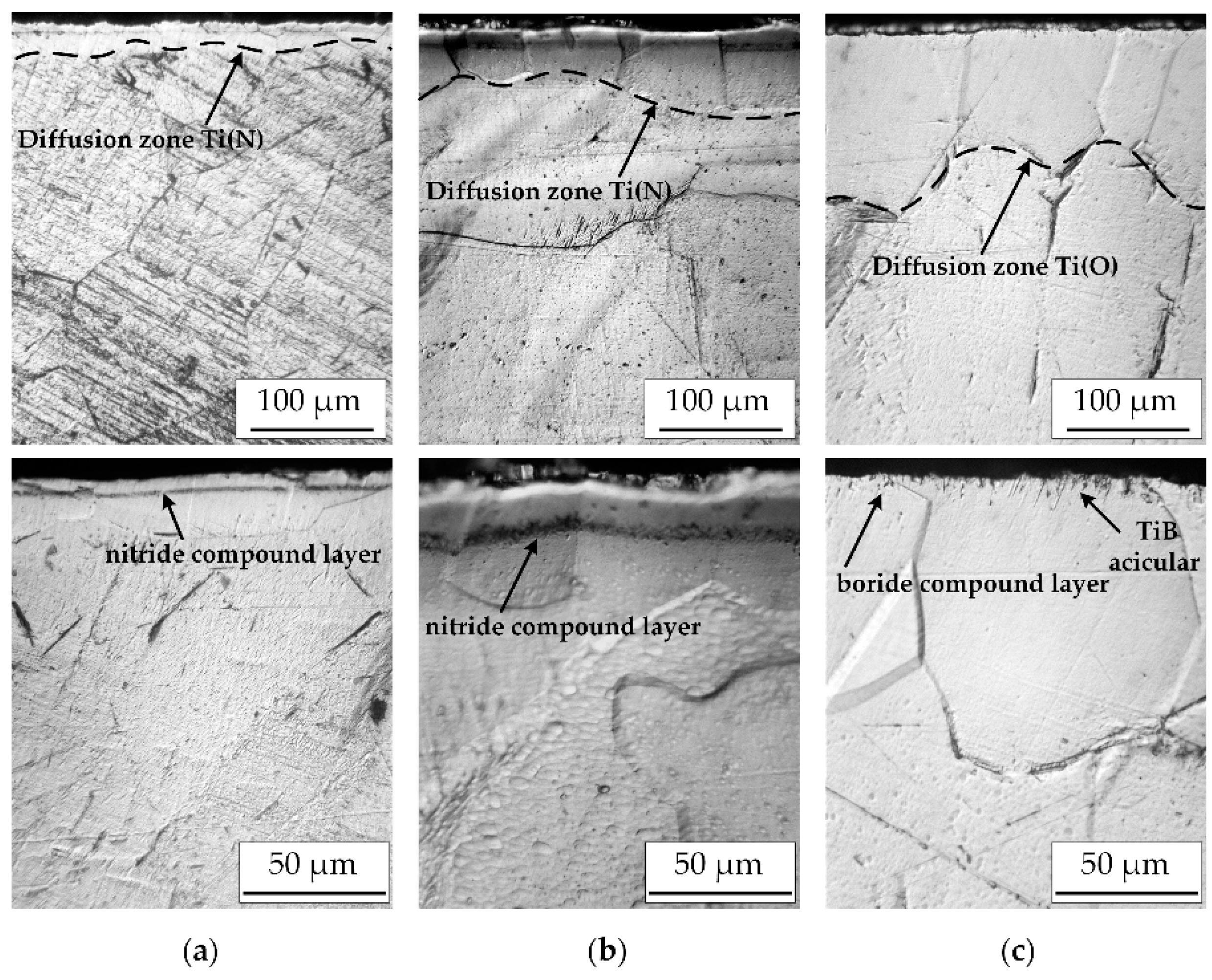 Coatings 13 00282 g008