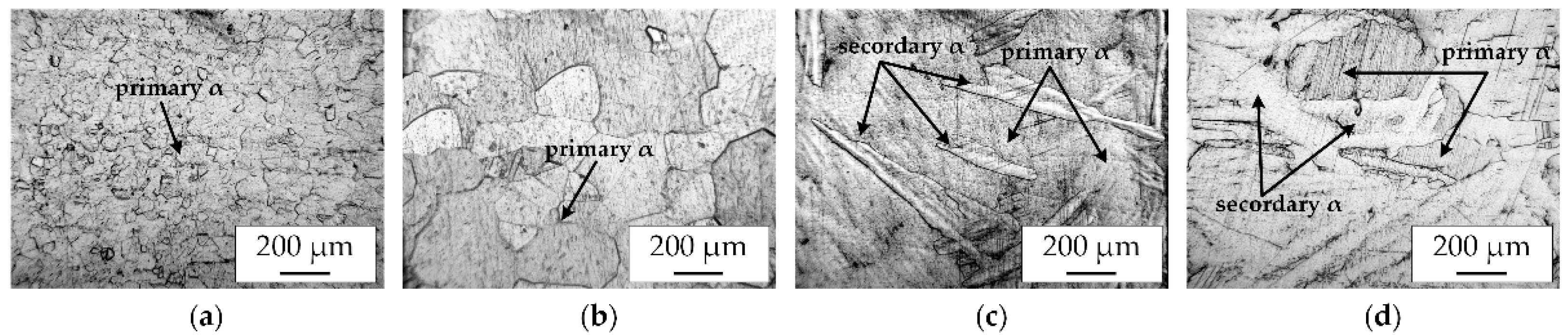 Coatings 13 00282 g009