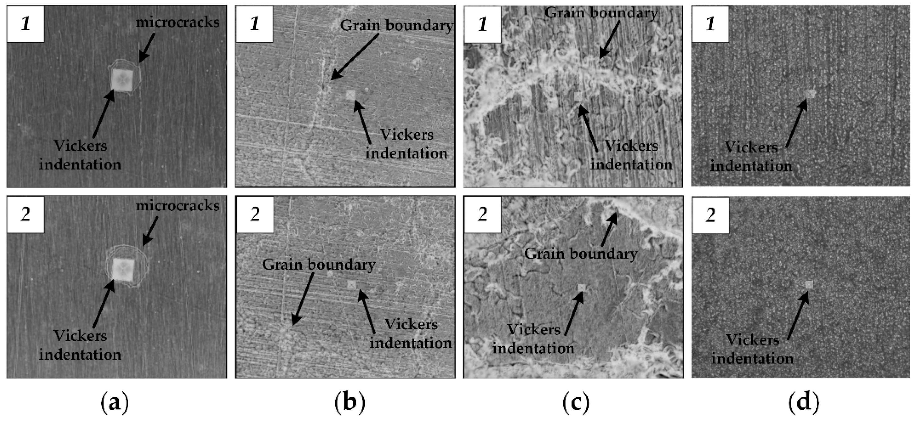Coatings 13 00282 g011