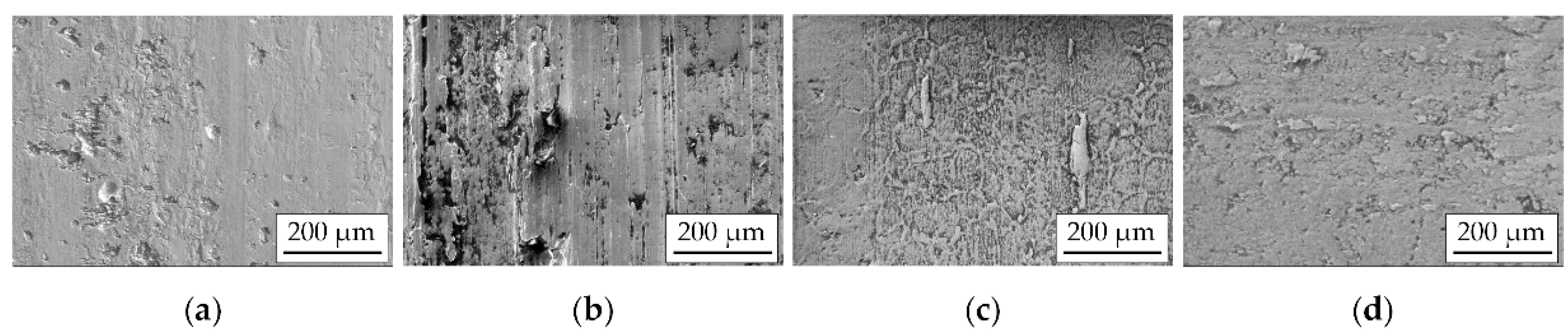 Coatings 13 00282 g014