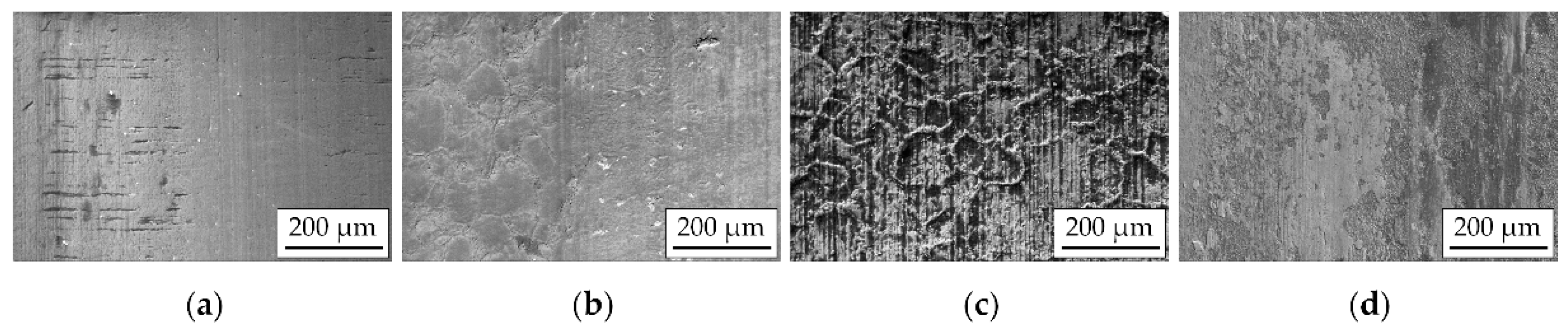 Coatings 13 00282 g015
