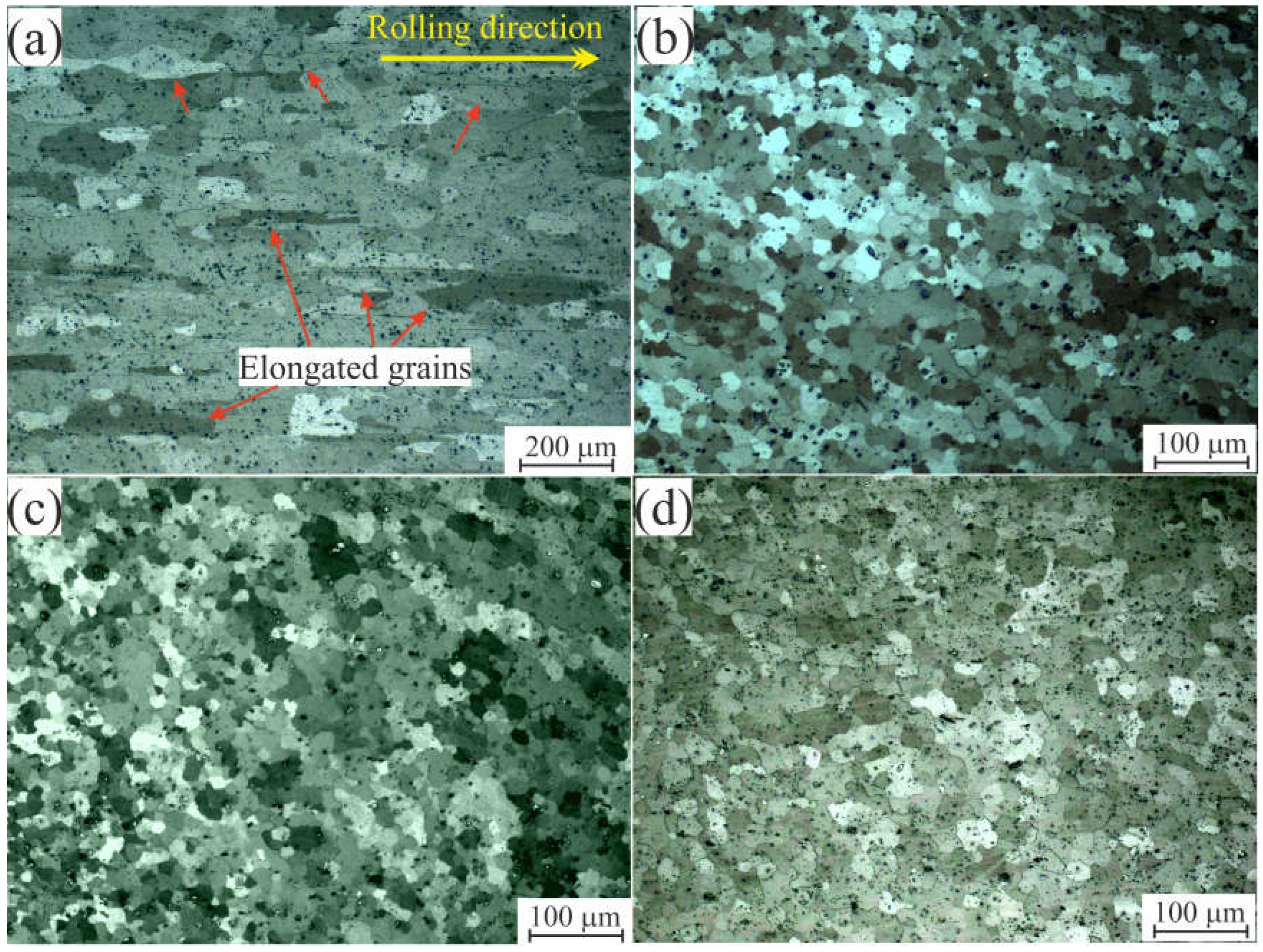 Coatings 13 00284 g002