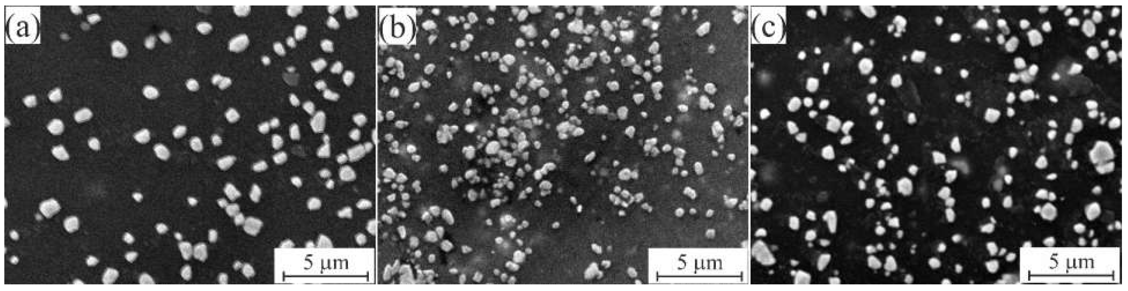 Coatings 13 00284 g004