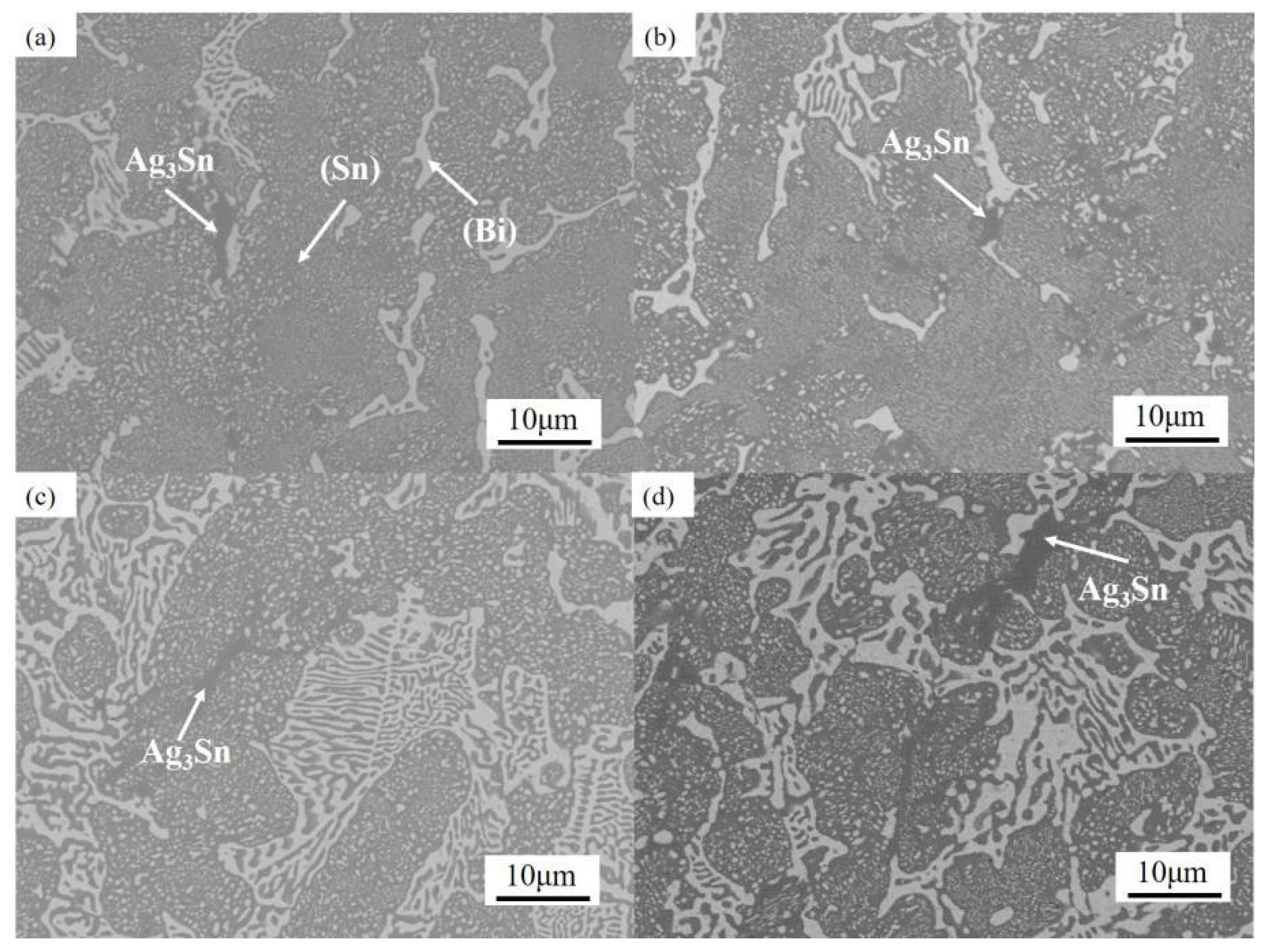 Coatings 13 00285 g005
