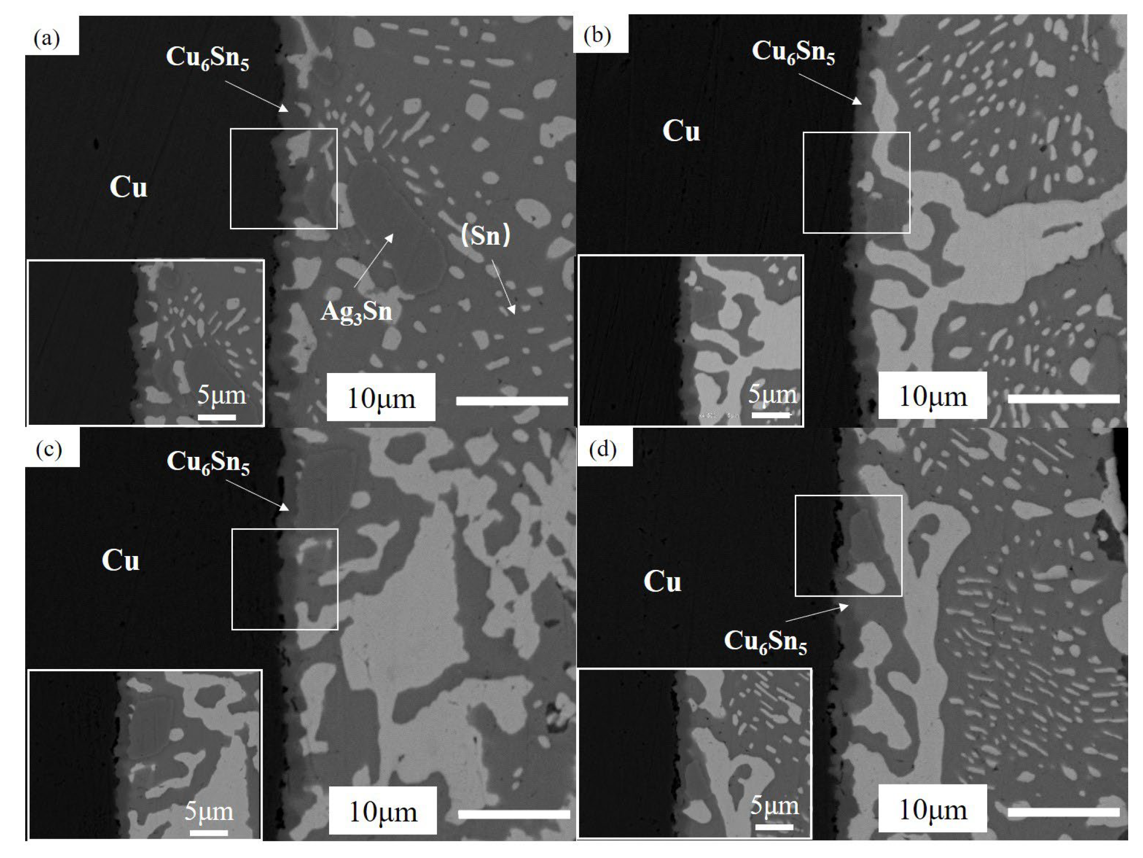 Coatings 13 00285 g019